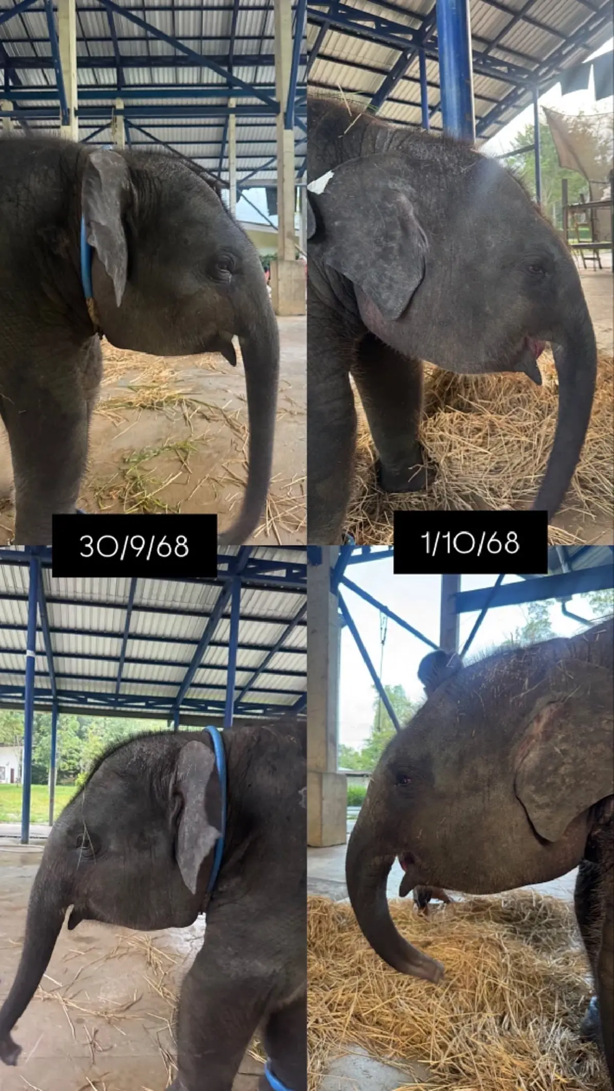 สงสารจับใจ น้องต้นหนาว อาการล่าสุด เห็นภาพยิ่งหดหู่