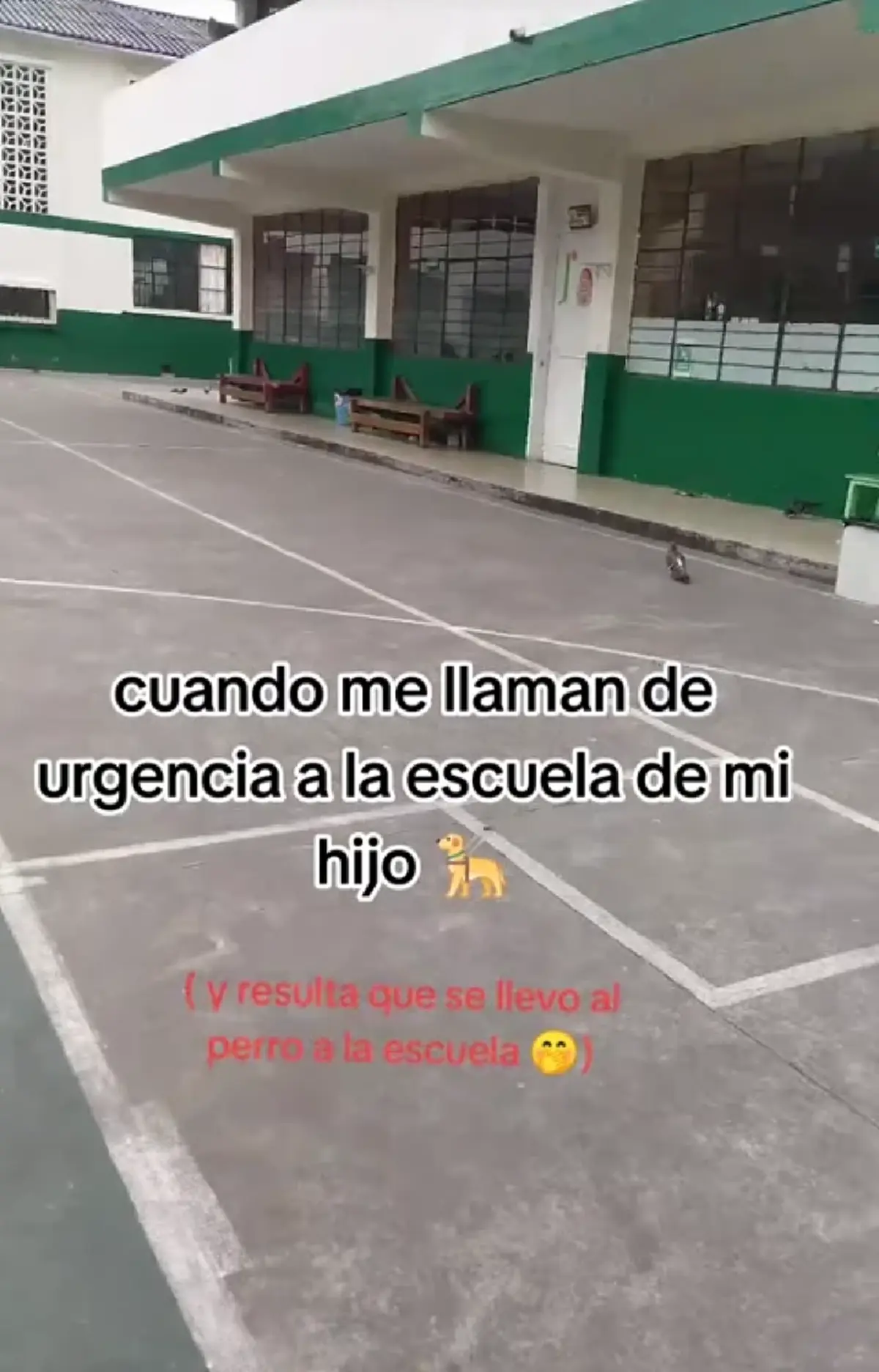 แม่แทบหัวใจวาย ครูโทรศัพท์มาจากโรงเรียน สุดท้ายกลายเป็นเรื่อง