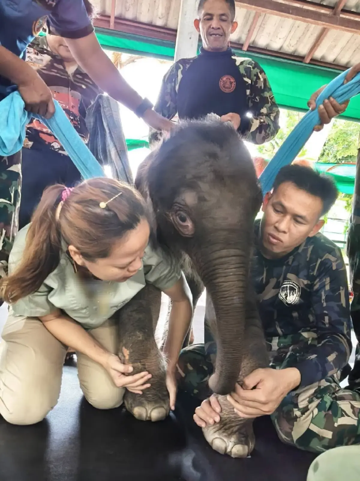 รู้แล้วใจฟู อัปเดตน้องข้าวต้ม ล่าสุดหลังดูแลอย่างใกล้ชิด