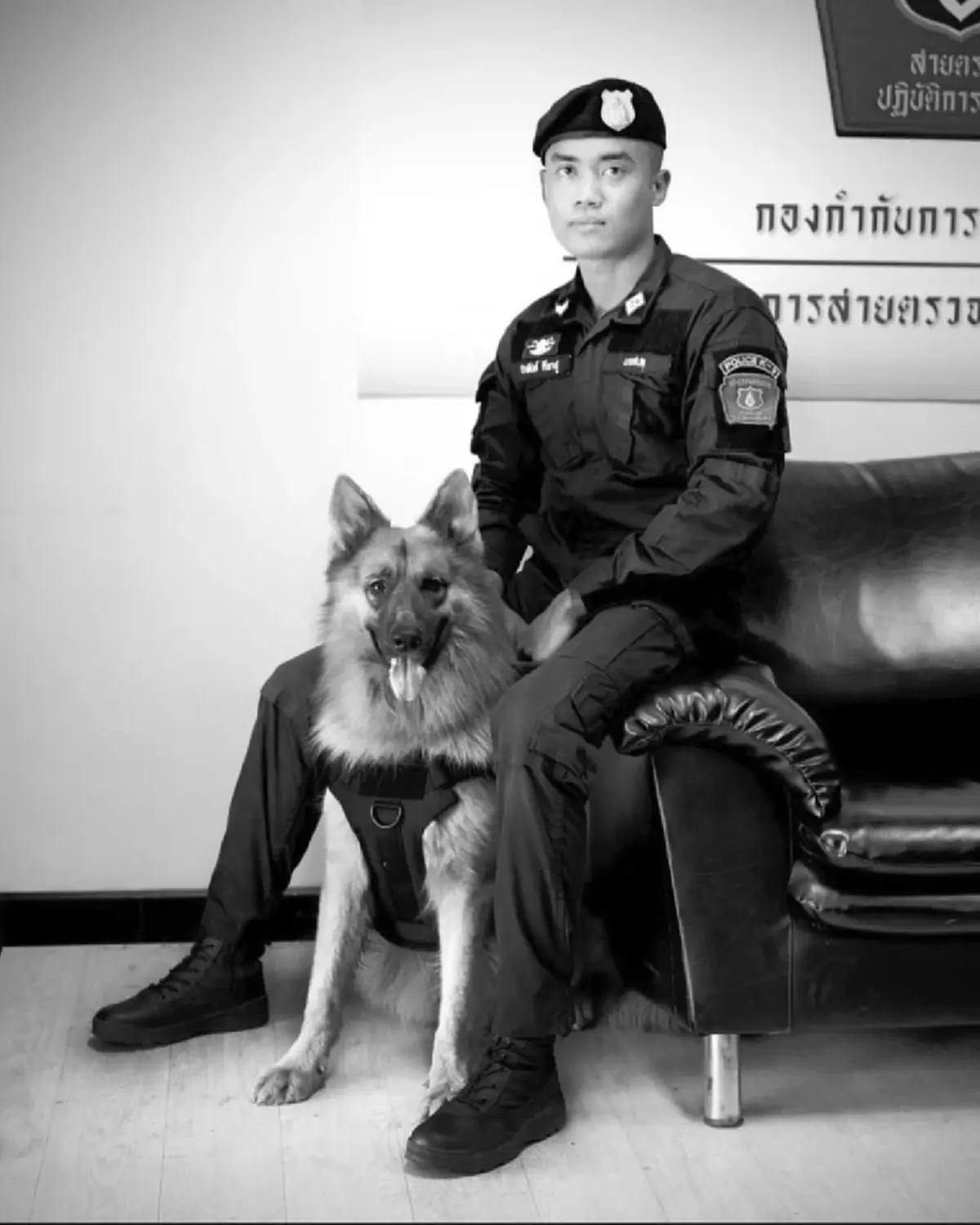เศร้าหนัก สุนัขตำรวจตรีซาโบ้ K9 ชื่อดัง จากไปอย่างสงบ