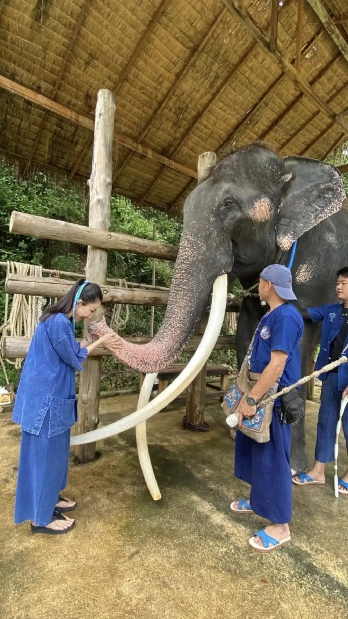 เกิดอะไรขึ้น หนูนา กัญจนา เบื่อวงการช้าง ไม่ให้ค่าคนเหล่านี้อีก