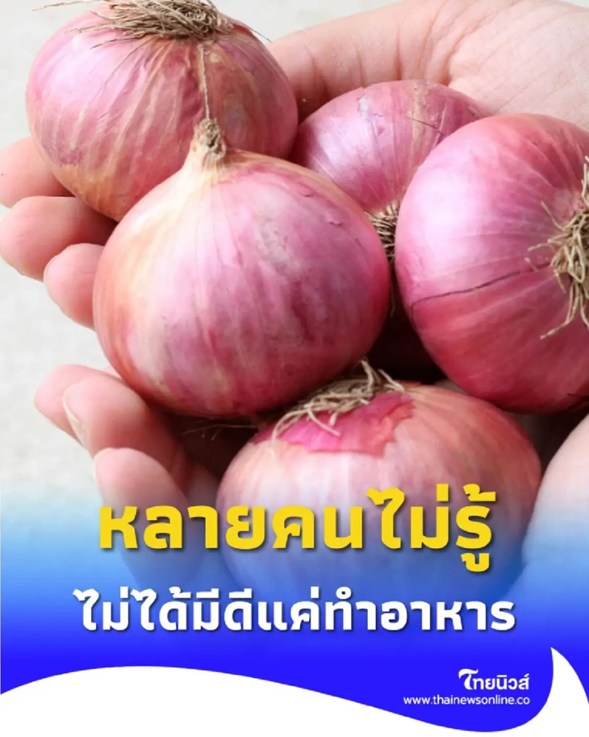 ไม่ได้มีดีแค่ทำอาหาร เปิด ประโยชน์จากหัวหอม ที่หลายคนยังไม่เคยรู้