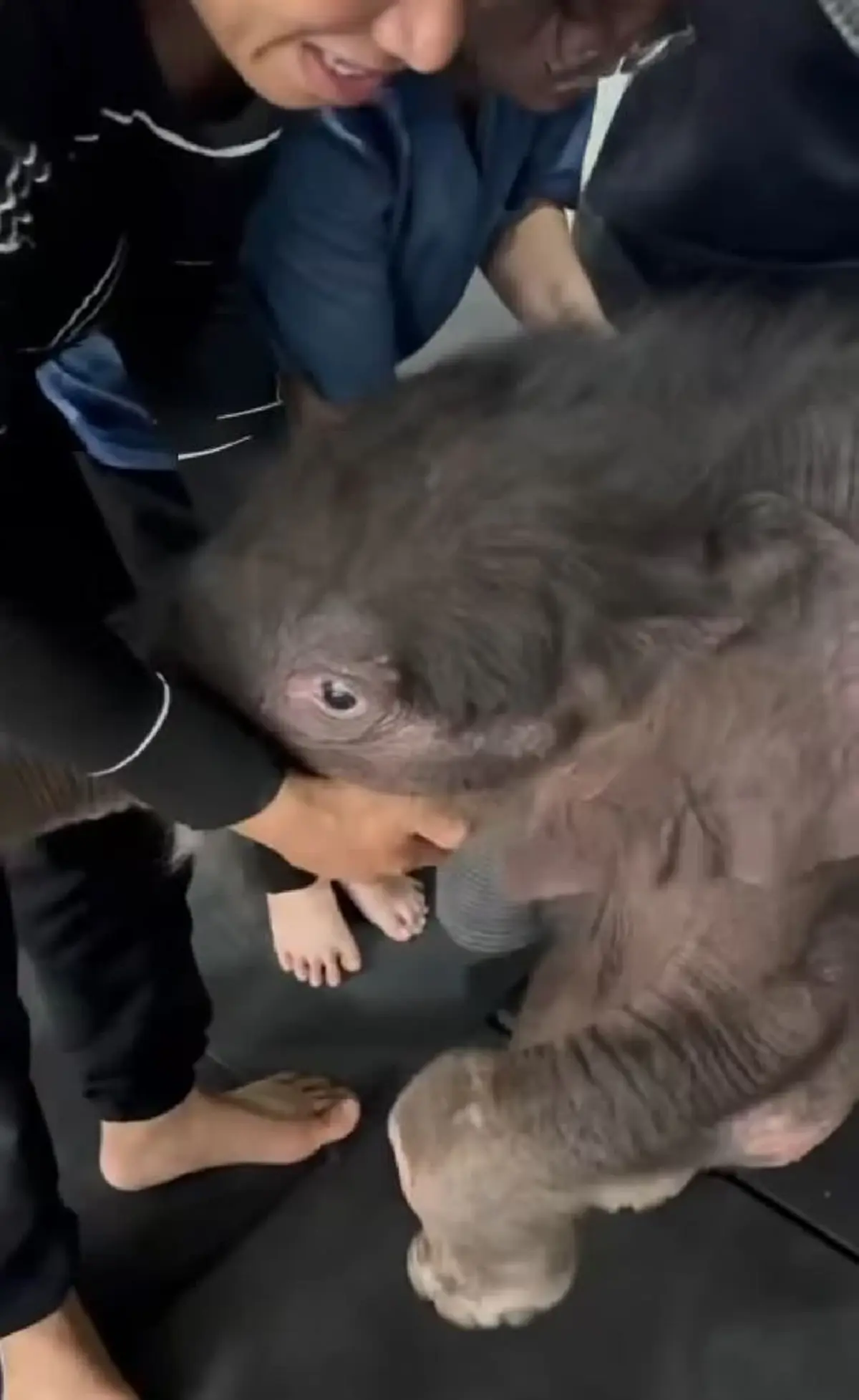 น้ำตาซึม เปิดคลิป น้องข้าวต้ม ฝึกเดิน หัวใจเกินร้อยจริงๆ