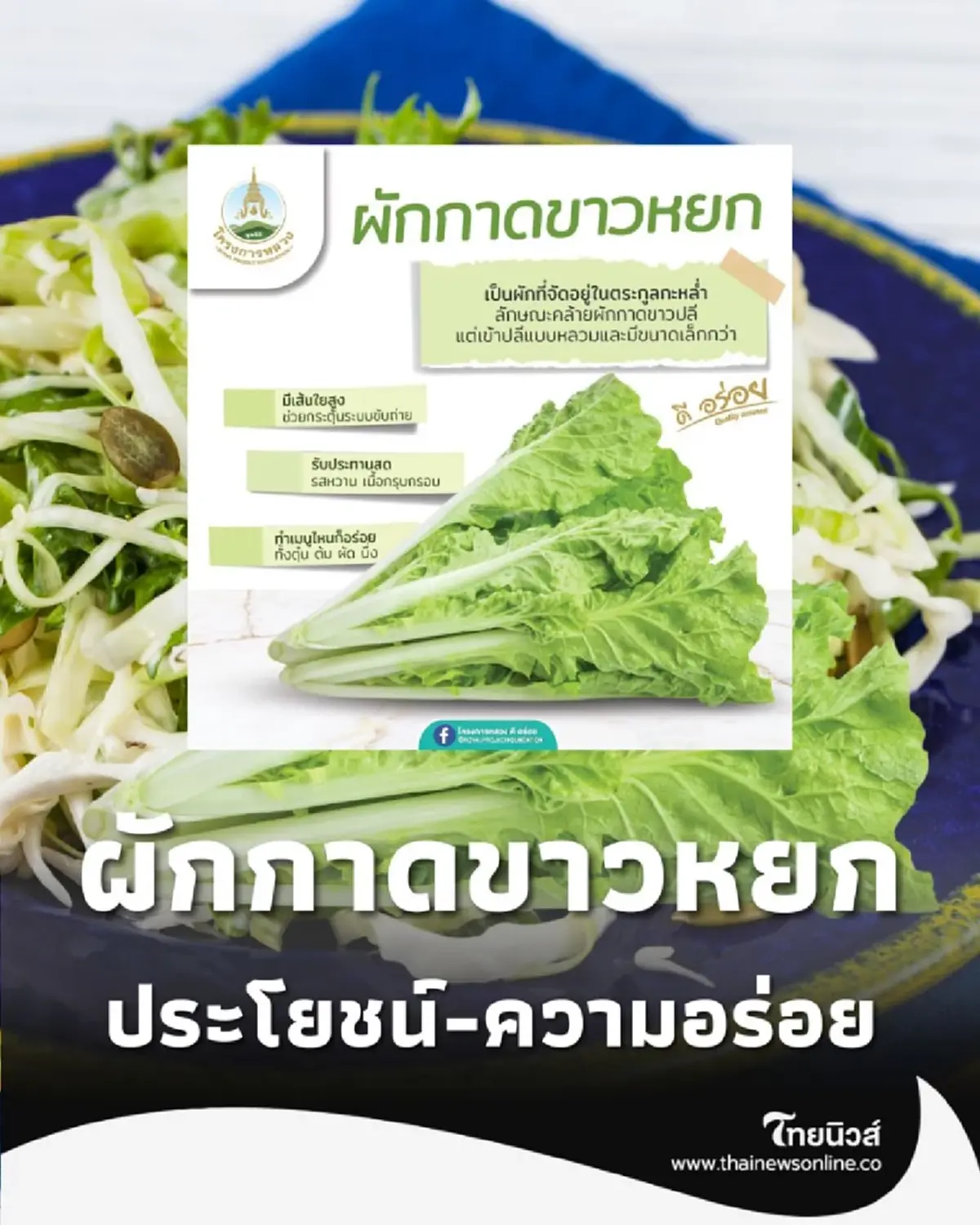 ผักกาดขาวหยก หวาน นุ่ม ละมุนลิ้น เปิดวาร์ปผักกาดขาวพันธุ์เบา