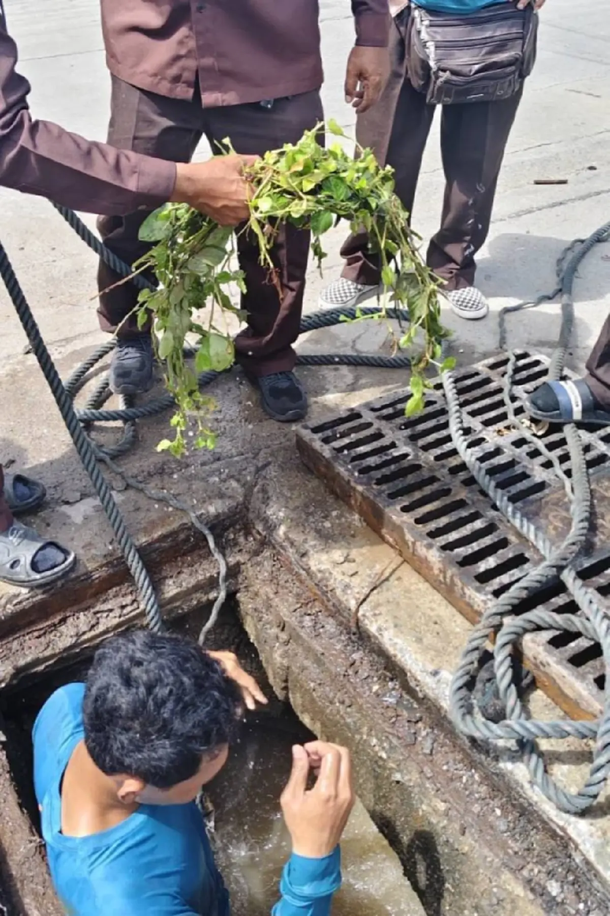 ถึงว่าเขตนี้น้ำท่วมบ่อย ส่องดูเจอวงดำๆ ใครเห็นก็ว่า งูยักษ์