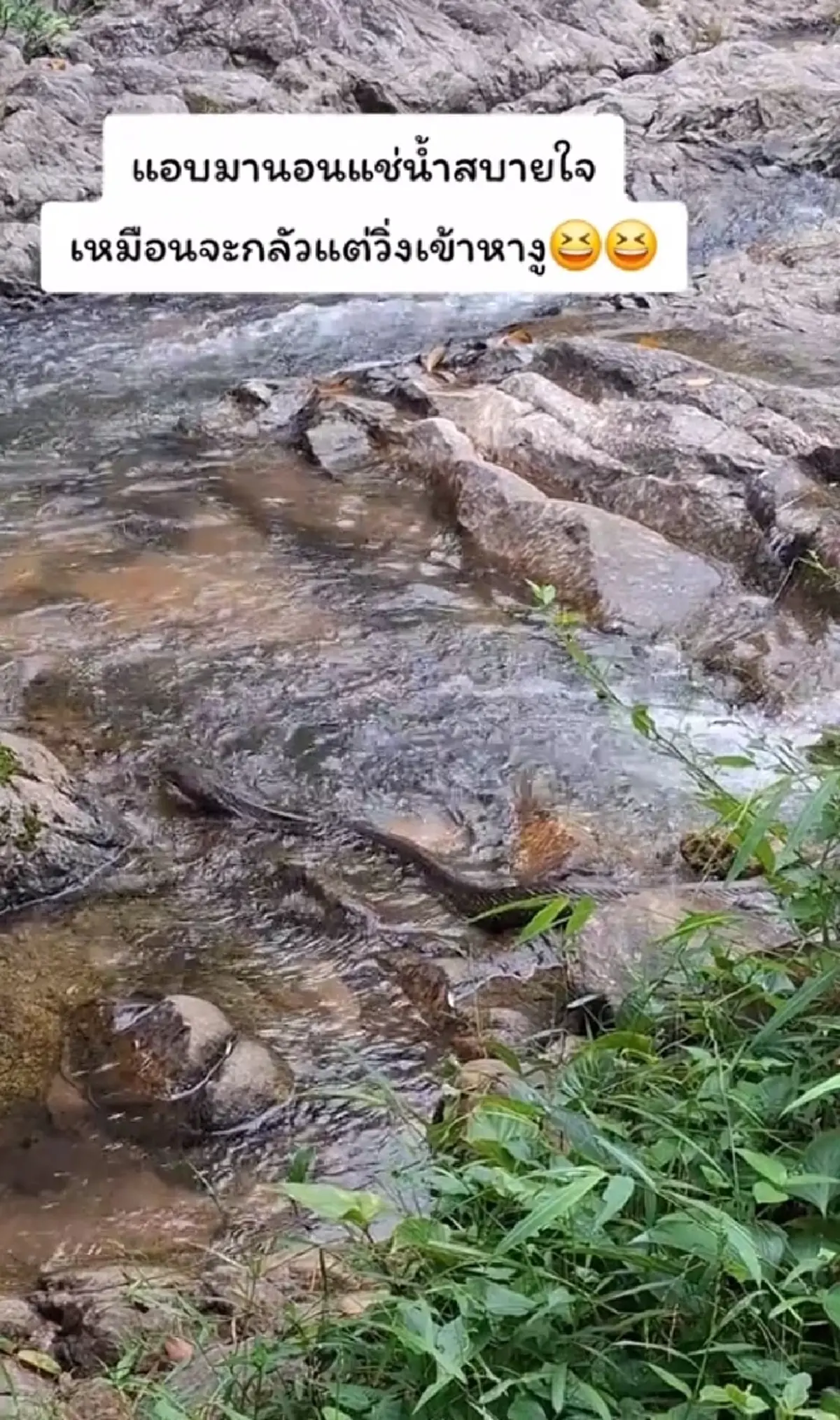 ขนลุกซู่ สาวมาเที่ยวน้ำตก เจอเจ้าถิ่นตัวใหญ่ นอนแช่น้ำฉ่ำ