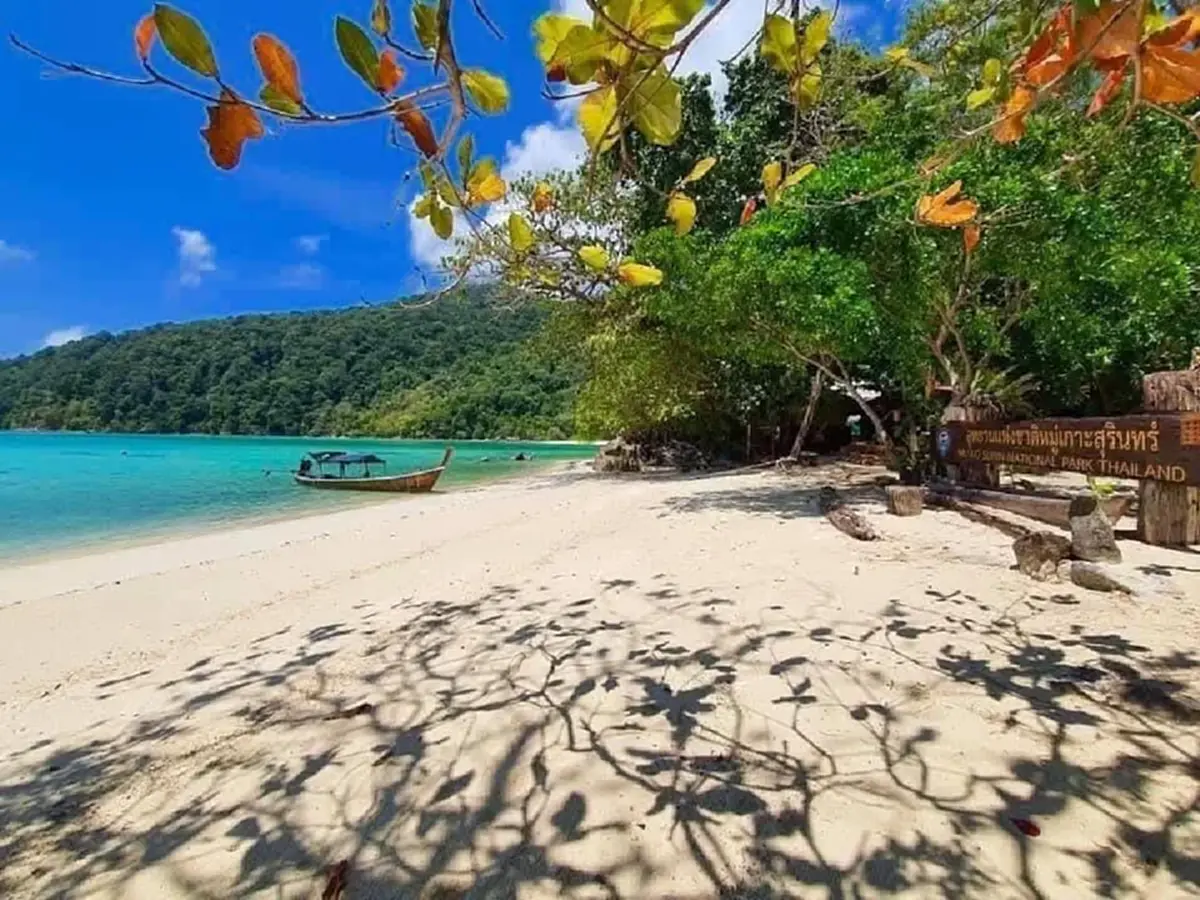 ปรับอ่วม 1 แสน! เตือน"นทท." ห้ามใช้ครีมกันแดดมีสารทำลายปะการัง