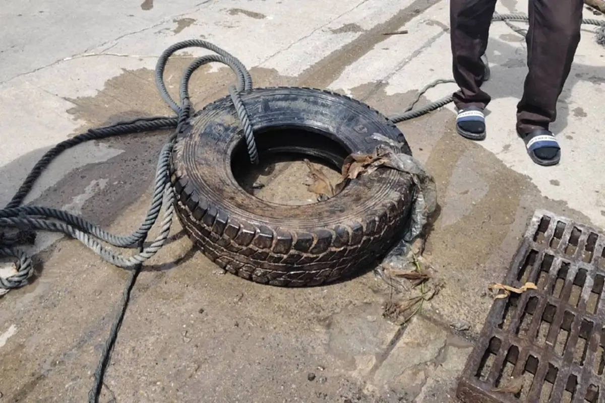 ถึงว่าเขตนี้น้ำท่วมบ่อย ส่องดูเจอวงดำๆ ใครเห็นก็ว่า งูยักษ์