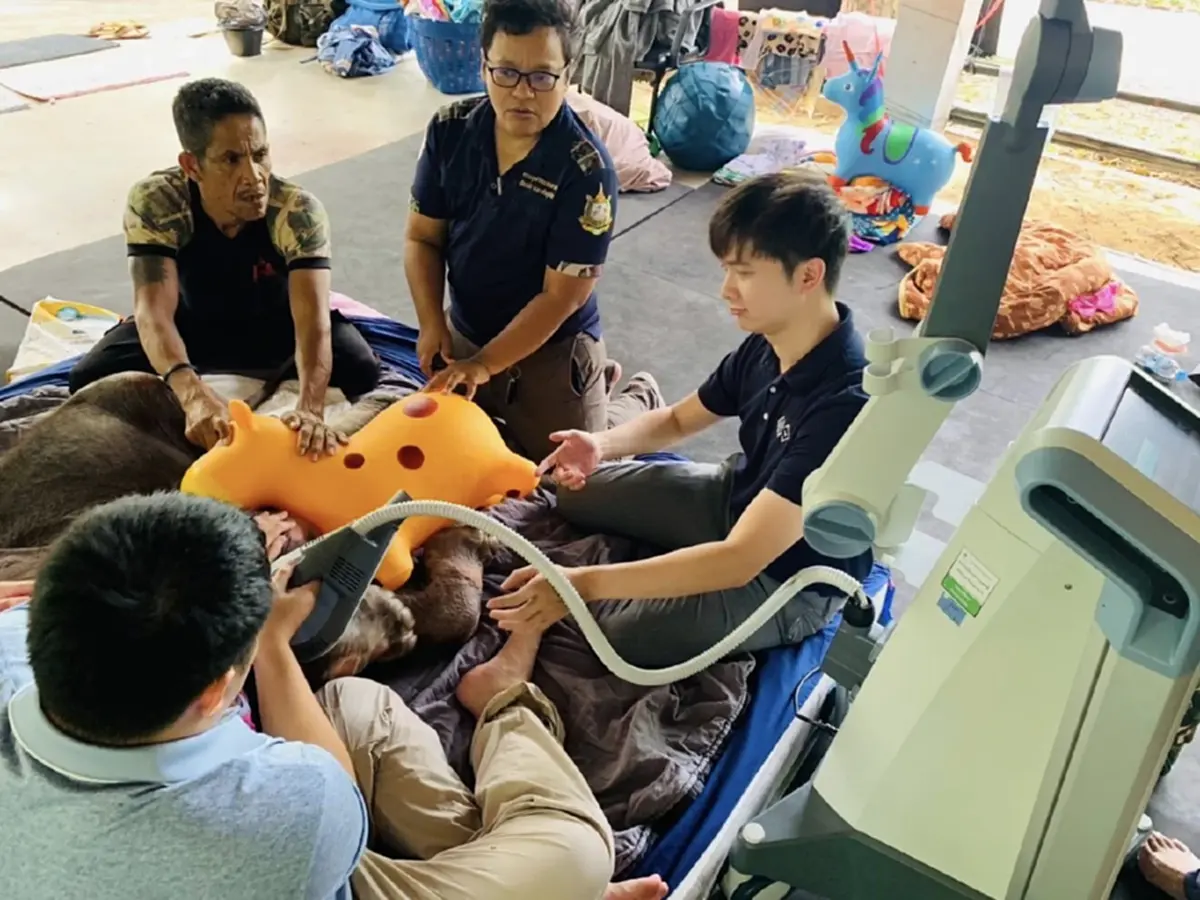 น้องข้าวต้ม ดีขึ้น ล่าสุดทีม มช. ร่วมฟื้นกล้ามเนื้อเต็มกำลัง