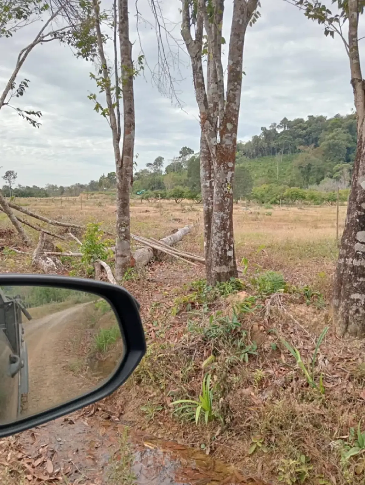 ชาวบ้านหวั่นเป็นแพะ ร้อง กมธ.กฎหมายฯ ถูกดำเนินคดีบุกรุกป่า