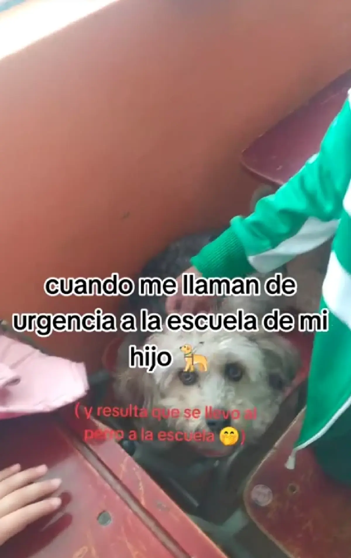 แม่แทบหัวใจวาย ครูโทรศัพท์มาจากโรงเรียน สุดท้ายกลายเป็นเรื่อง