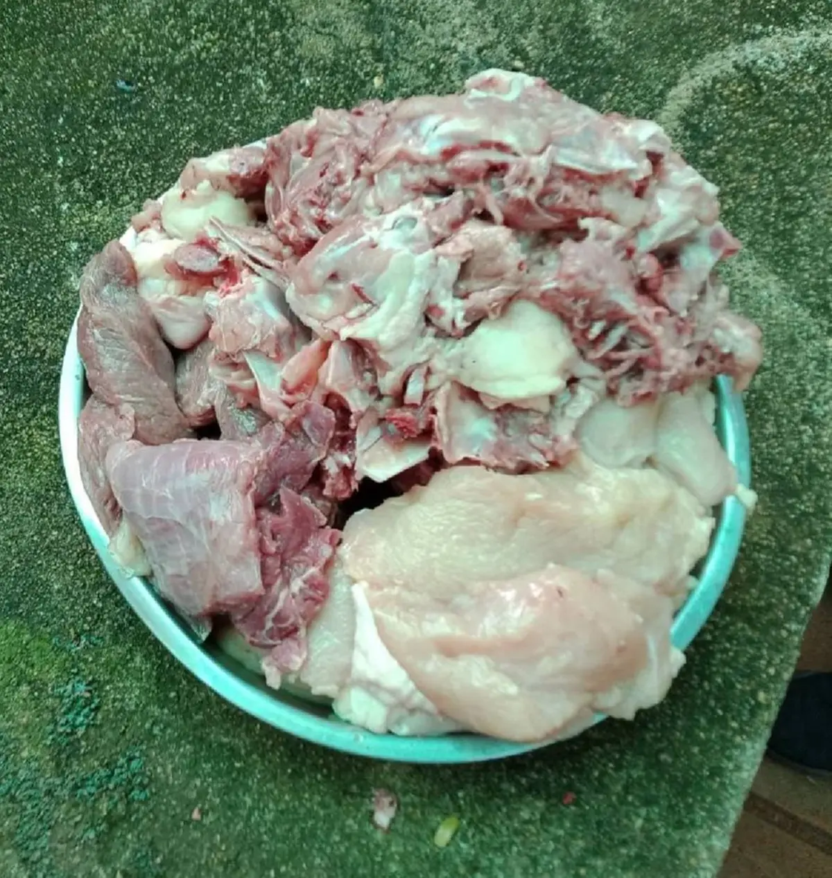 ใครจะคิด อาการล่าสุด "มเหสี" หลังโดนย้ายมาเลี้ยงที่ บึงฉวาก