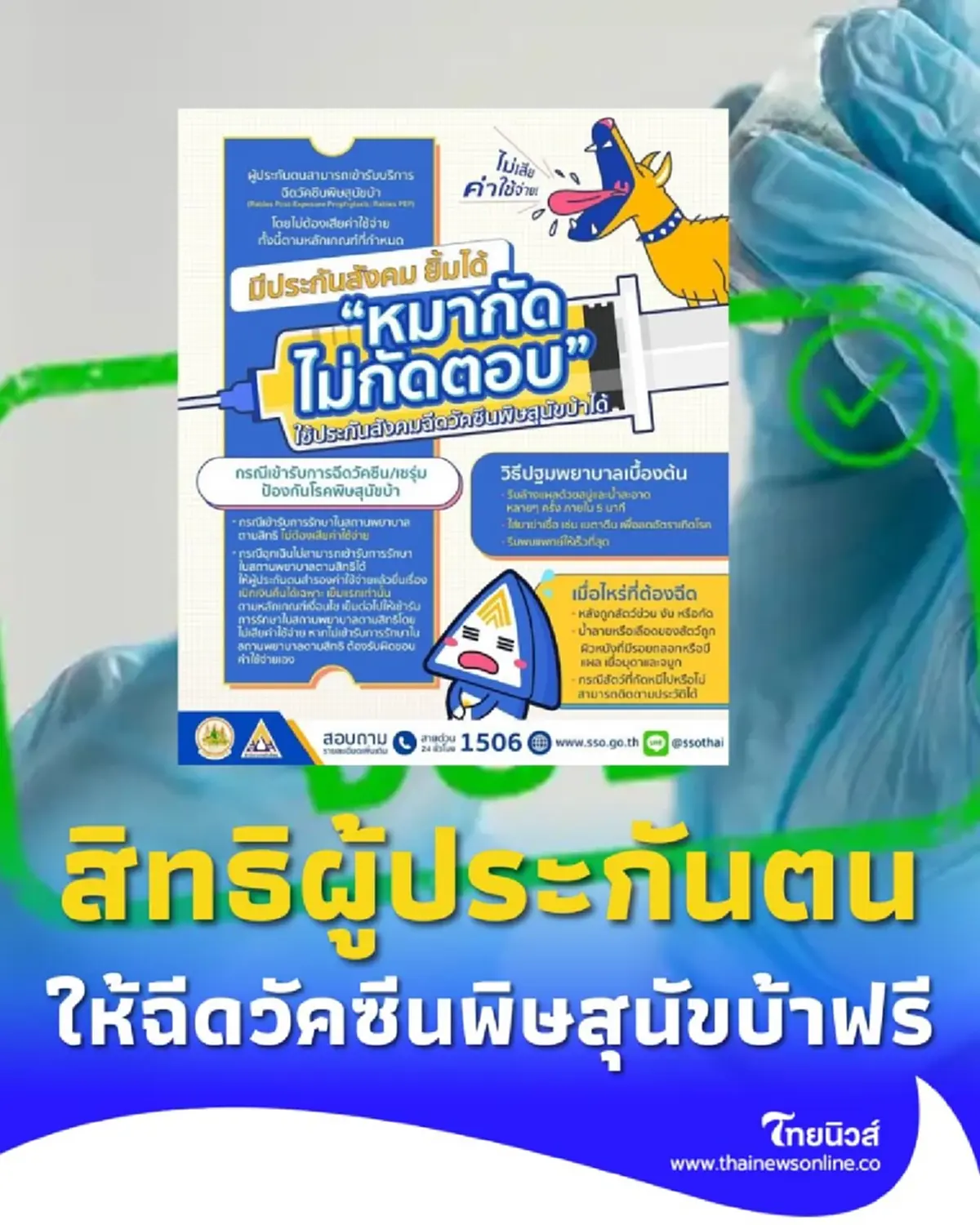 สิทธิประโยชน์ประกันสังคม ฉีดวัคซีนพิษสุนัขบ้าฟรี มีรายละเอียด