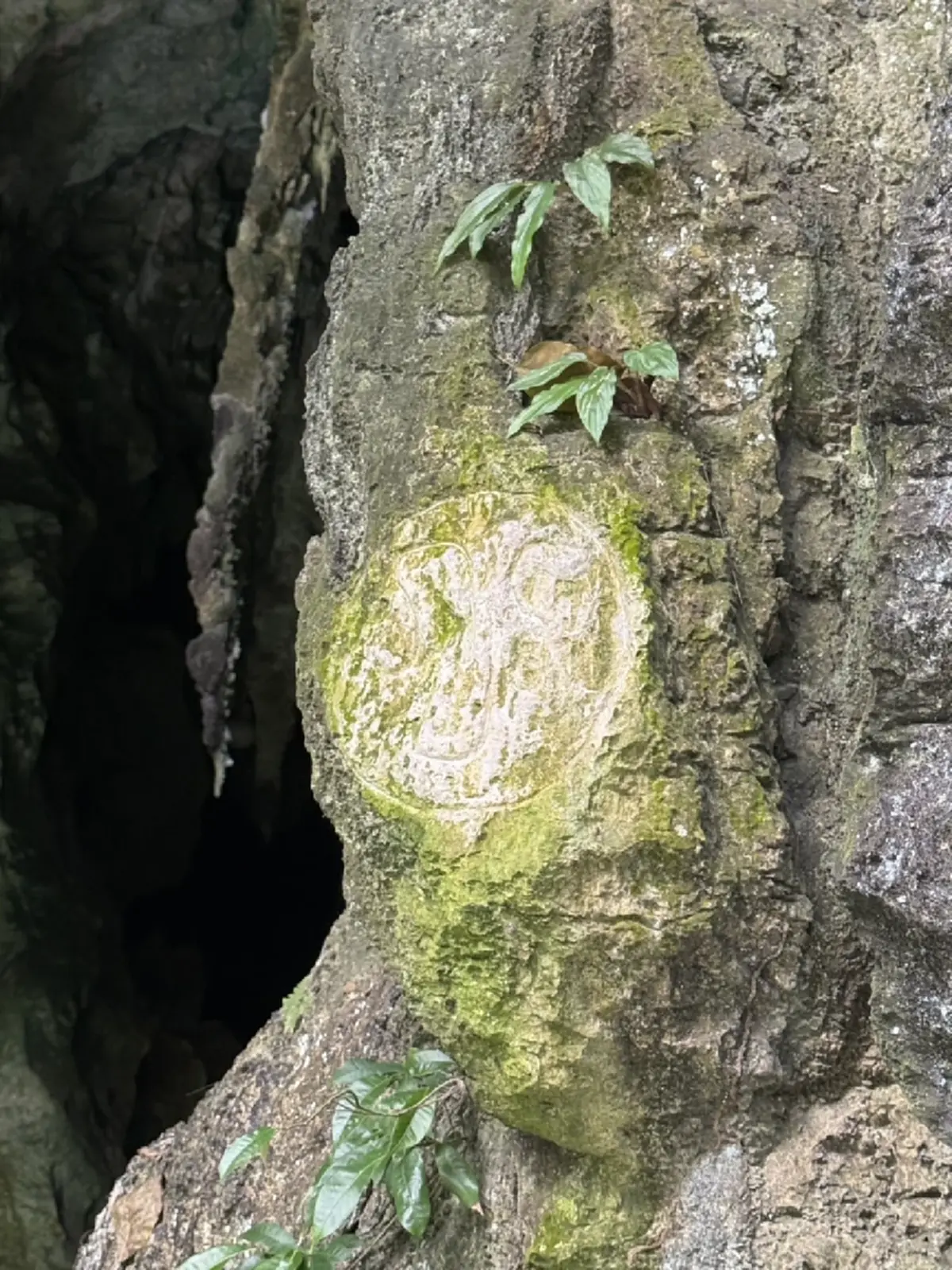 เผยภาพรอยสลักคู่ ลายฝีพระหัตถ์ ภปร.-สก. บนผาหินธารโบกขรณี