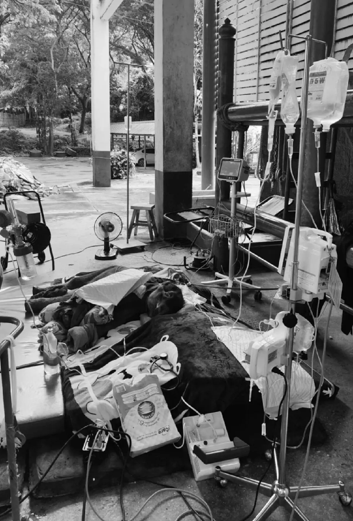 สุดยื้อ ลูกช้างวัย 11 วัน กลับดาวแล้ว หลังถูกแม่เตะขาหัก