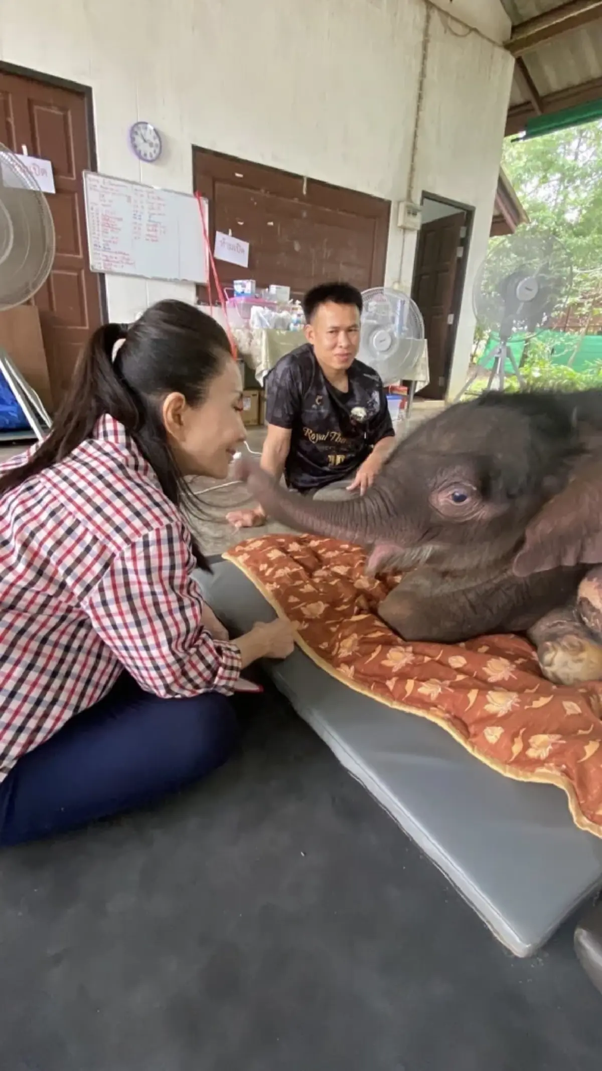 เกิดอะไรขึ้น หนูนา กัญจนา เบื่อวงการช้าง ไม่ให้ค่าคนเหล่านี้อีก