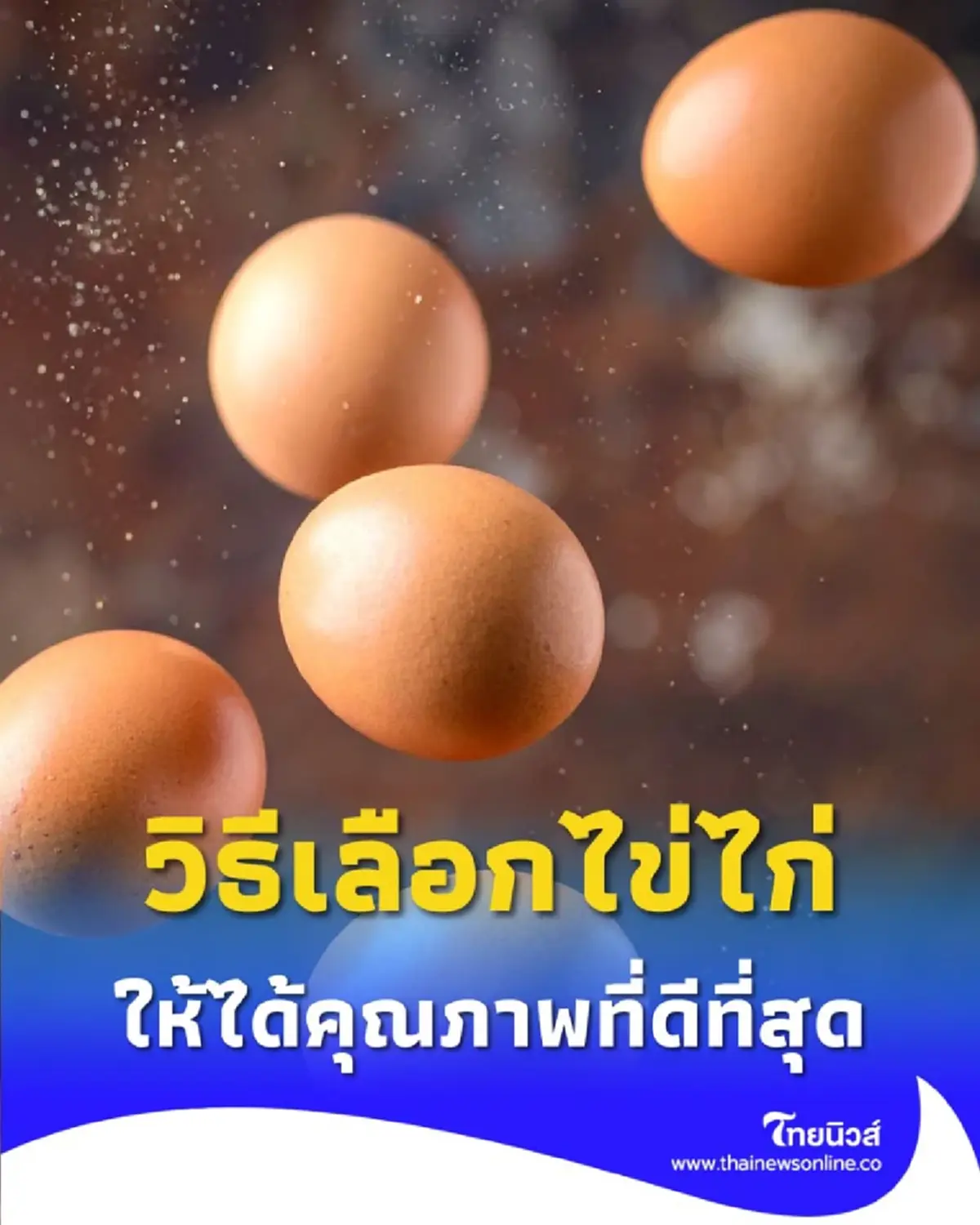 วิธีเลือกไข่ไก่ ต้องเลือกแบบไหนให้ได้คุณภาพที่ดีที่สุด 