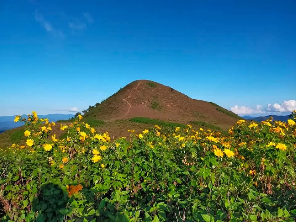 เตือนนทท. ห้ามทำเด็ดขาด หลังเกิดฟ้าผ่า นทท.บนดอยปุยหลวง