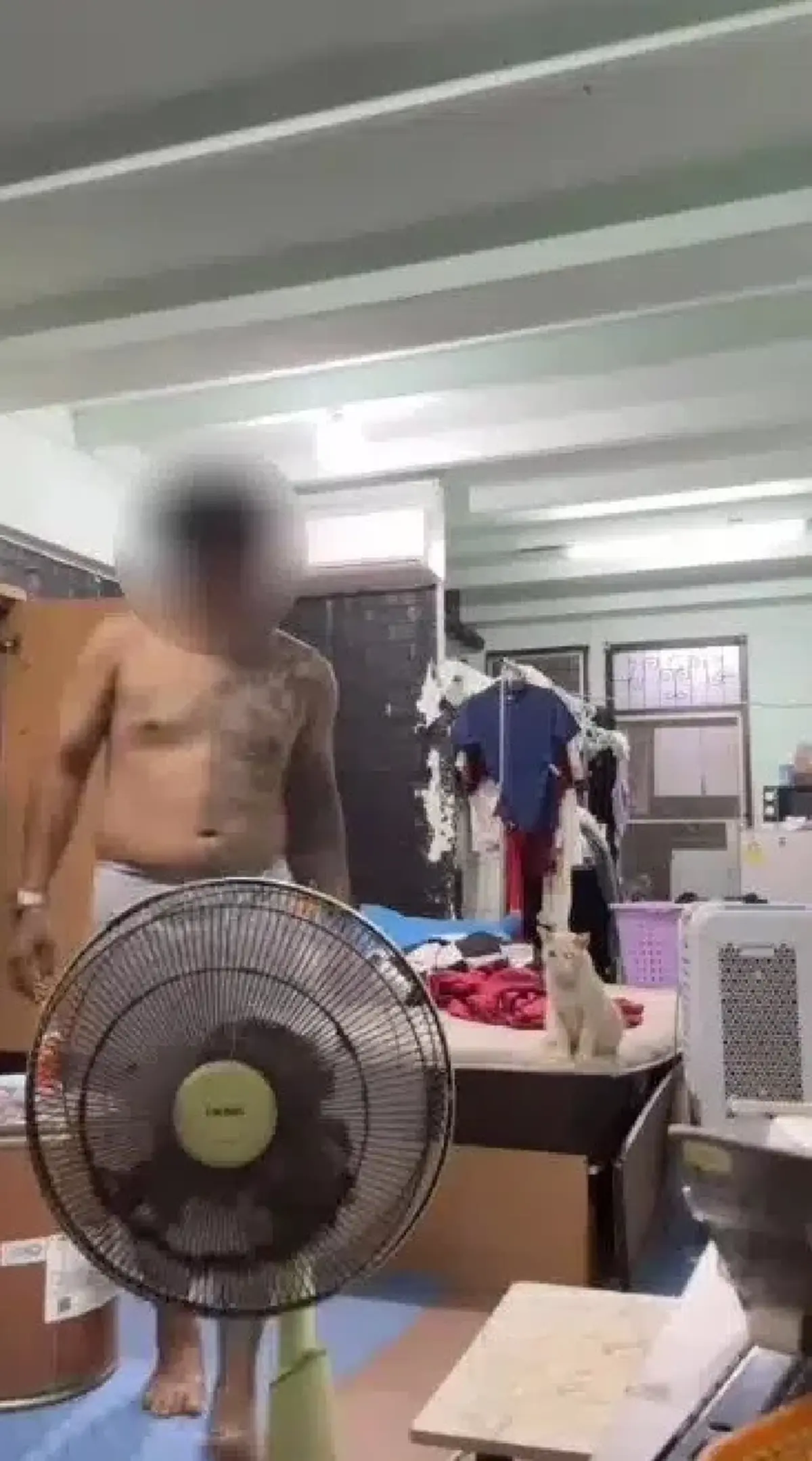 ร้านเจ้เล้ง สั่งพ้นสภาพพนักงาน ชายเตะแมว อัปเดตอาการแมวล่าสุด