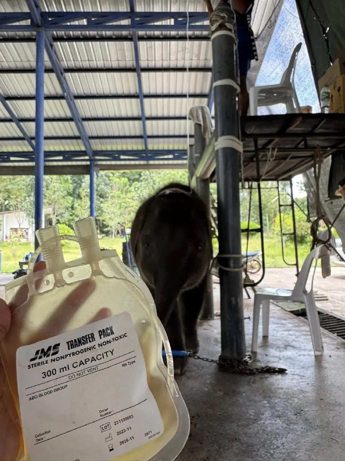 ข่าวดี อัปเดต น้องต้นหนาว ล่าสุด ยอมเลยหัวใจนักสู้ของจริง