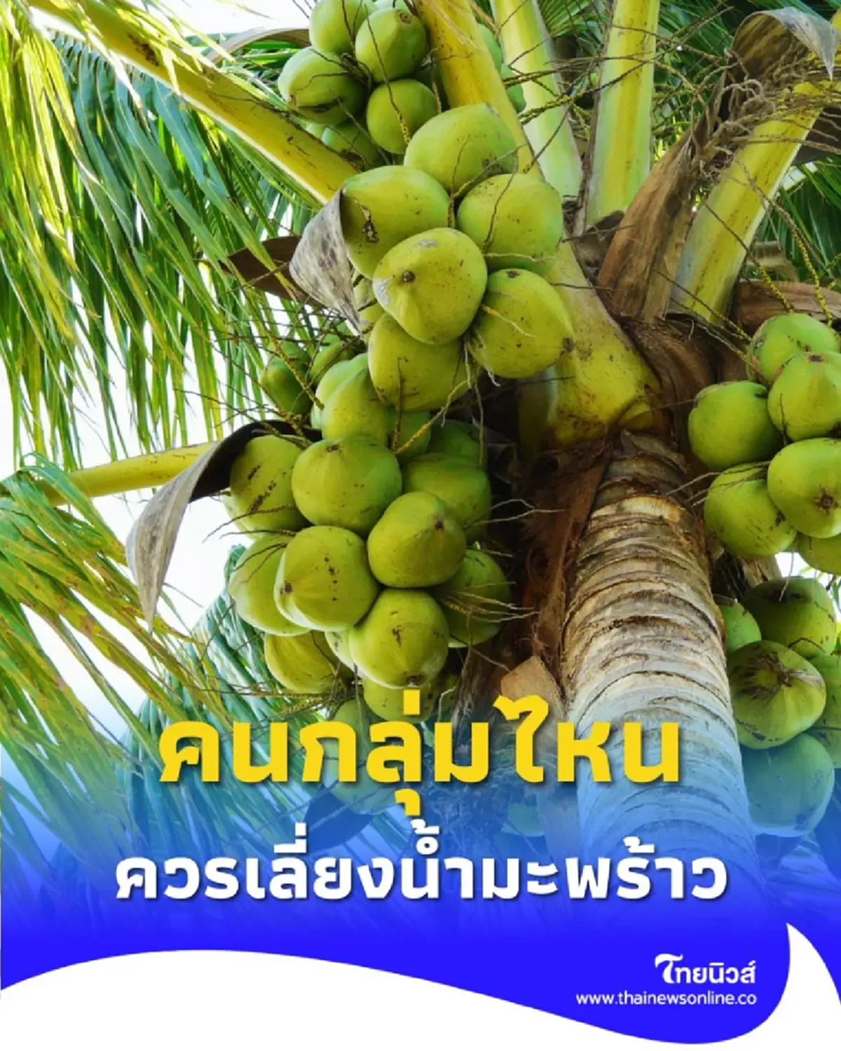 มะพร้าว มีประโยชน์อะไรบ้าง และคนกลุ่มไหนควรเลี่ยง เพราะอะไร