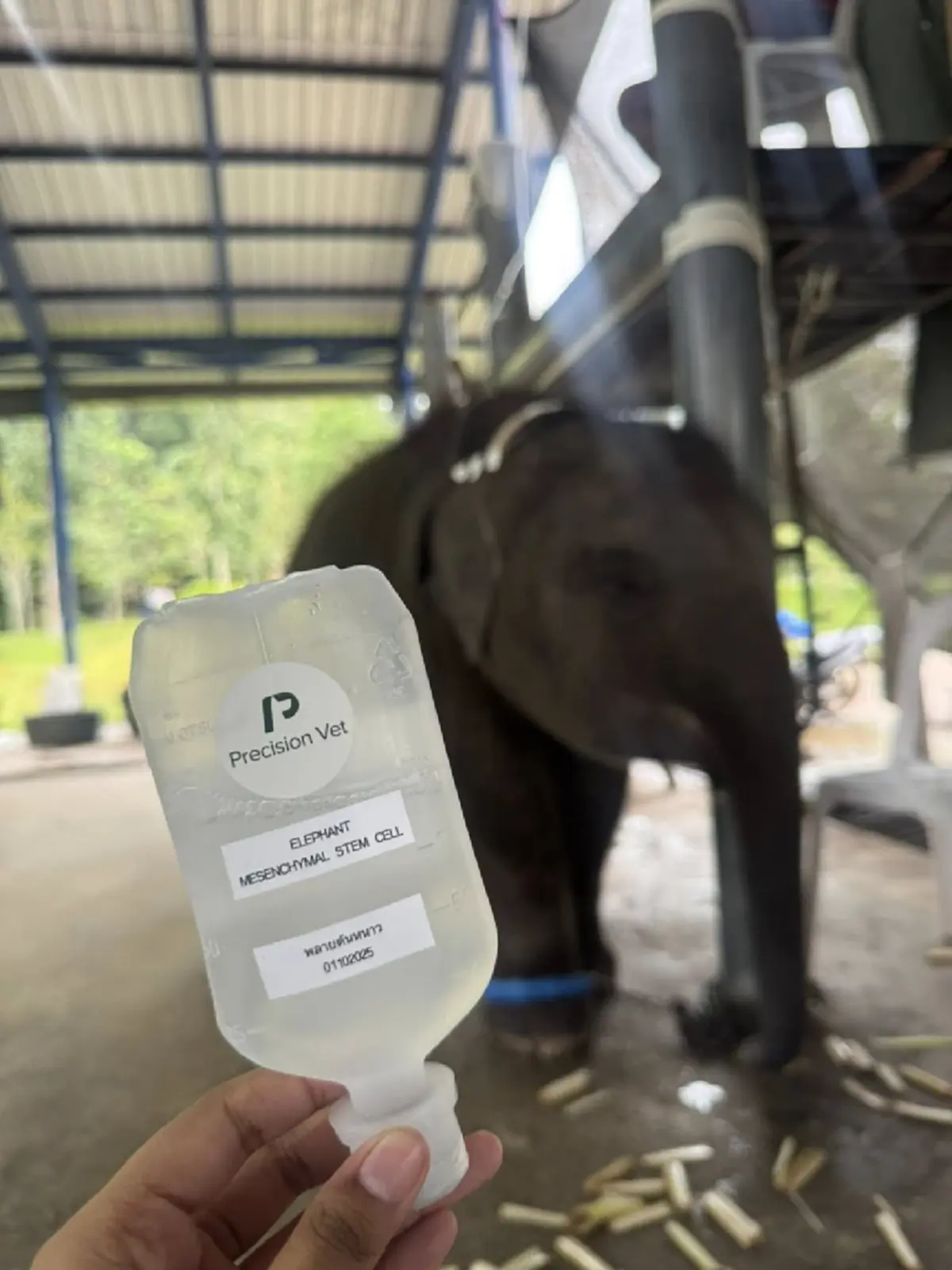 สงสารจับใจ น้องต้นหนาว อาการล่าสุด เห็นภาพยิ่งหดหู่