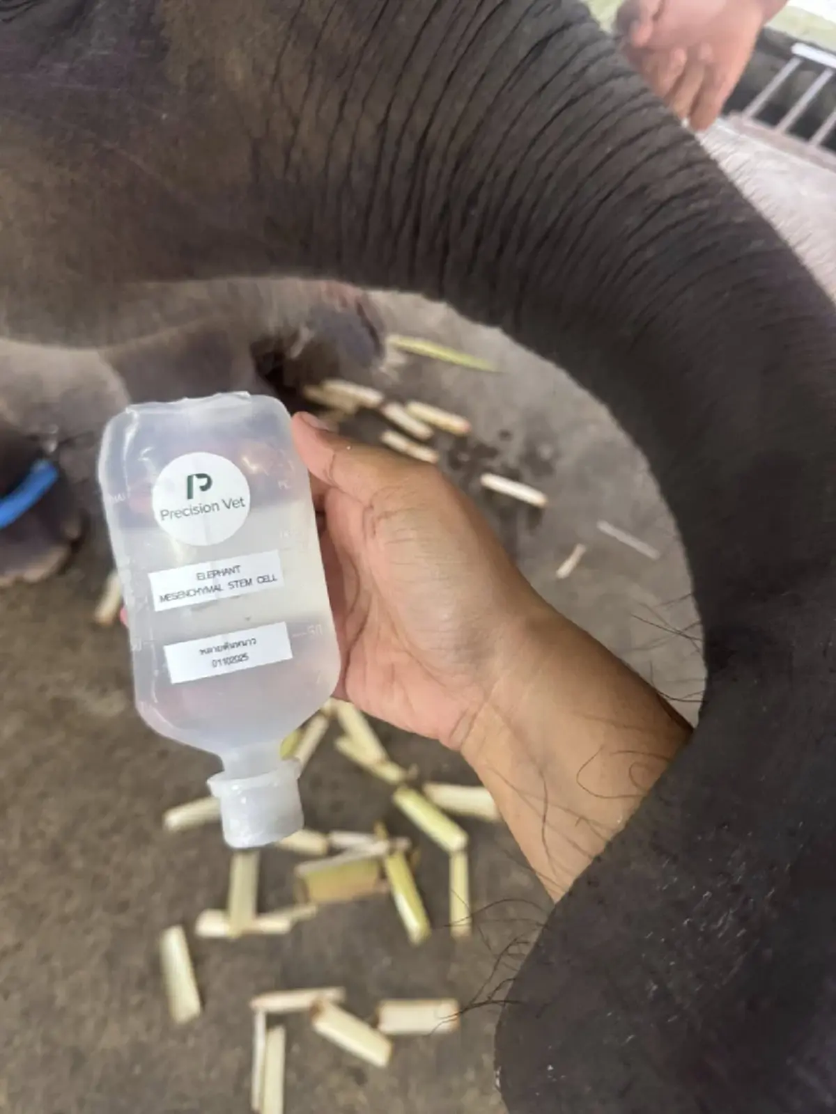 สงสารจับใจ น้องต้นหนาว อาการล่าสุด เห็นภาพยิ่งหดหู่