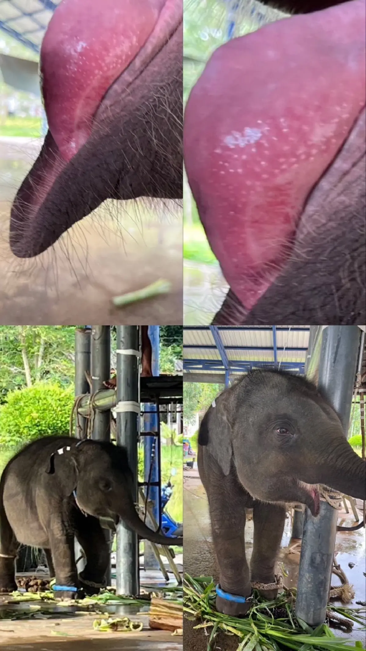 น้องต้นหนาว พ้นวิกฤติ เผยอัปเดตล่าสุดคิดว่าน้องชนะแล้ว