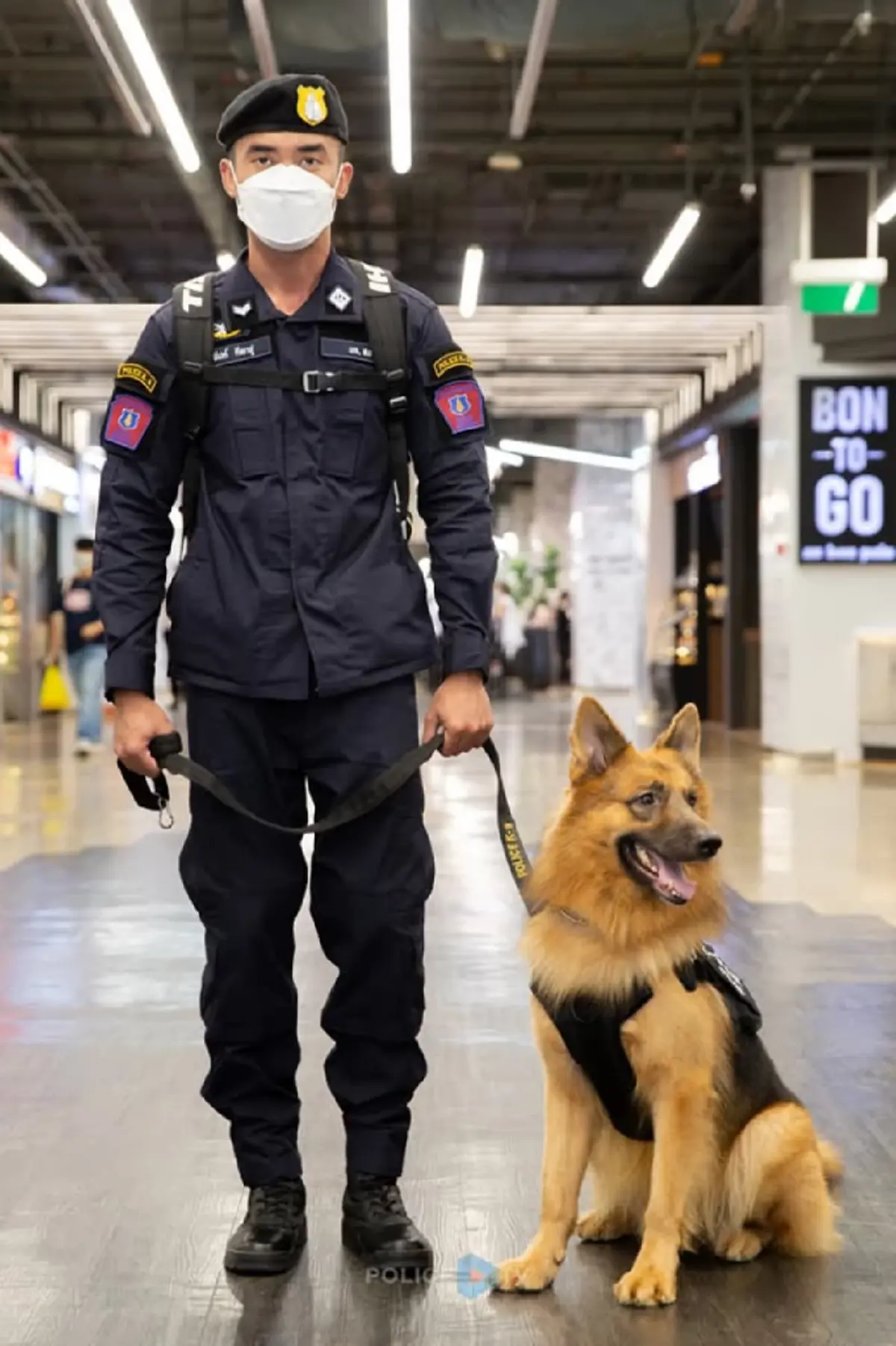 สุดห่วง โพสต์ล่าสุด คุณโบ หลังสูญเสีย ซาโบ้ K9 คู่ใจ