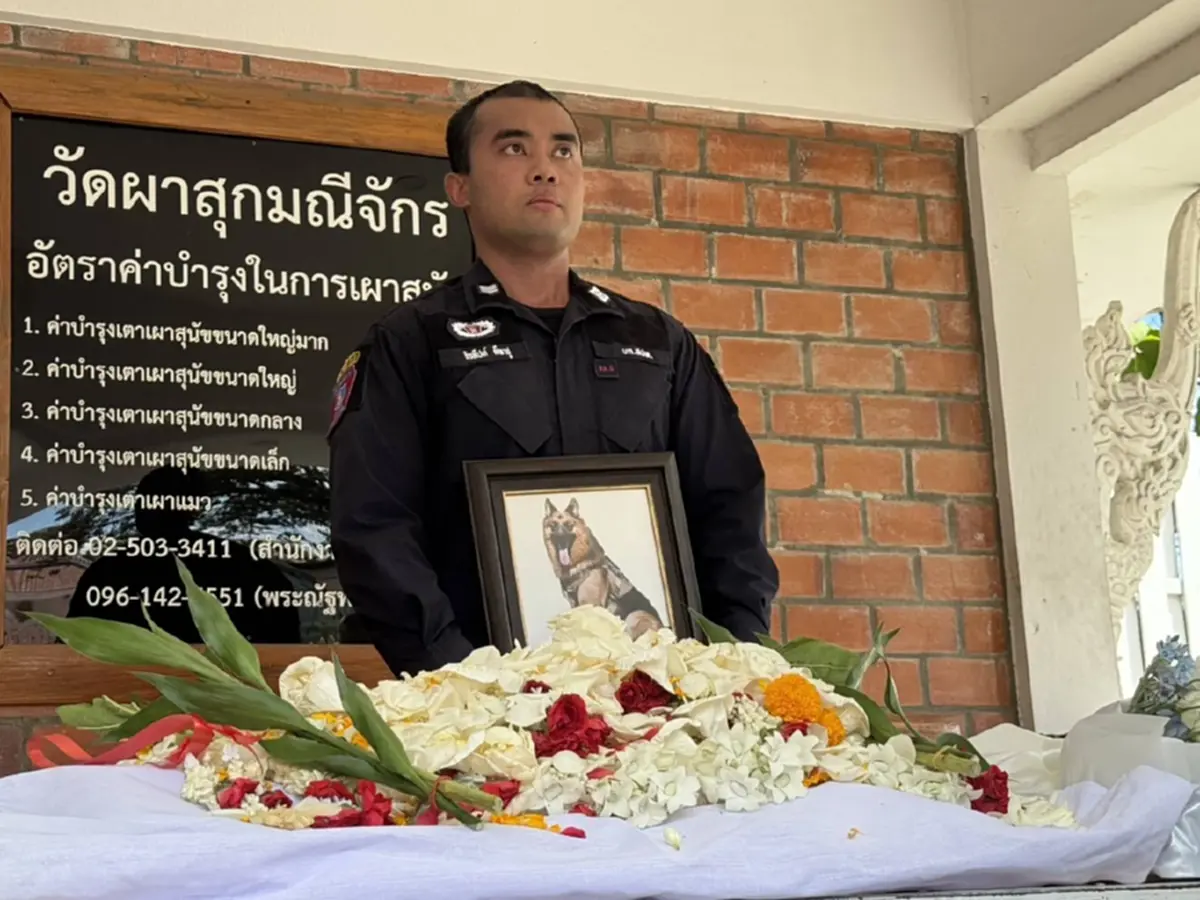สุดเศร้าเจ้าหน้าที่และแฟนคลับร่วมไว้อาลัย “สุนัขตำรวจตรีซาโบ้”