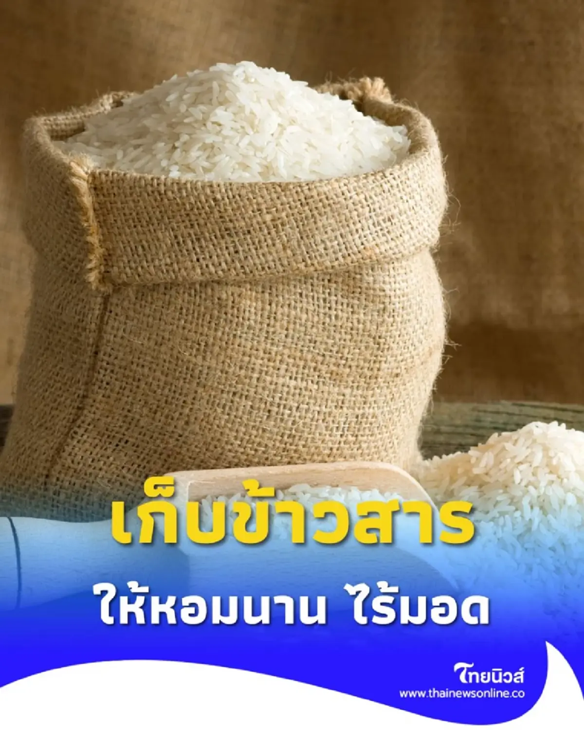 วิธี เก็บข้าวสาร ไม่ให้เหม็นหืน เปิด 3 ขั้นตอนที่คุณแม่บ้านควรรู้