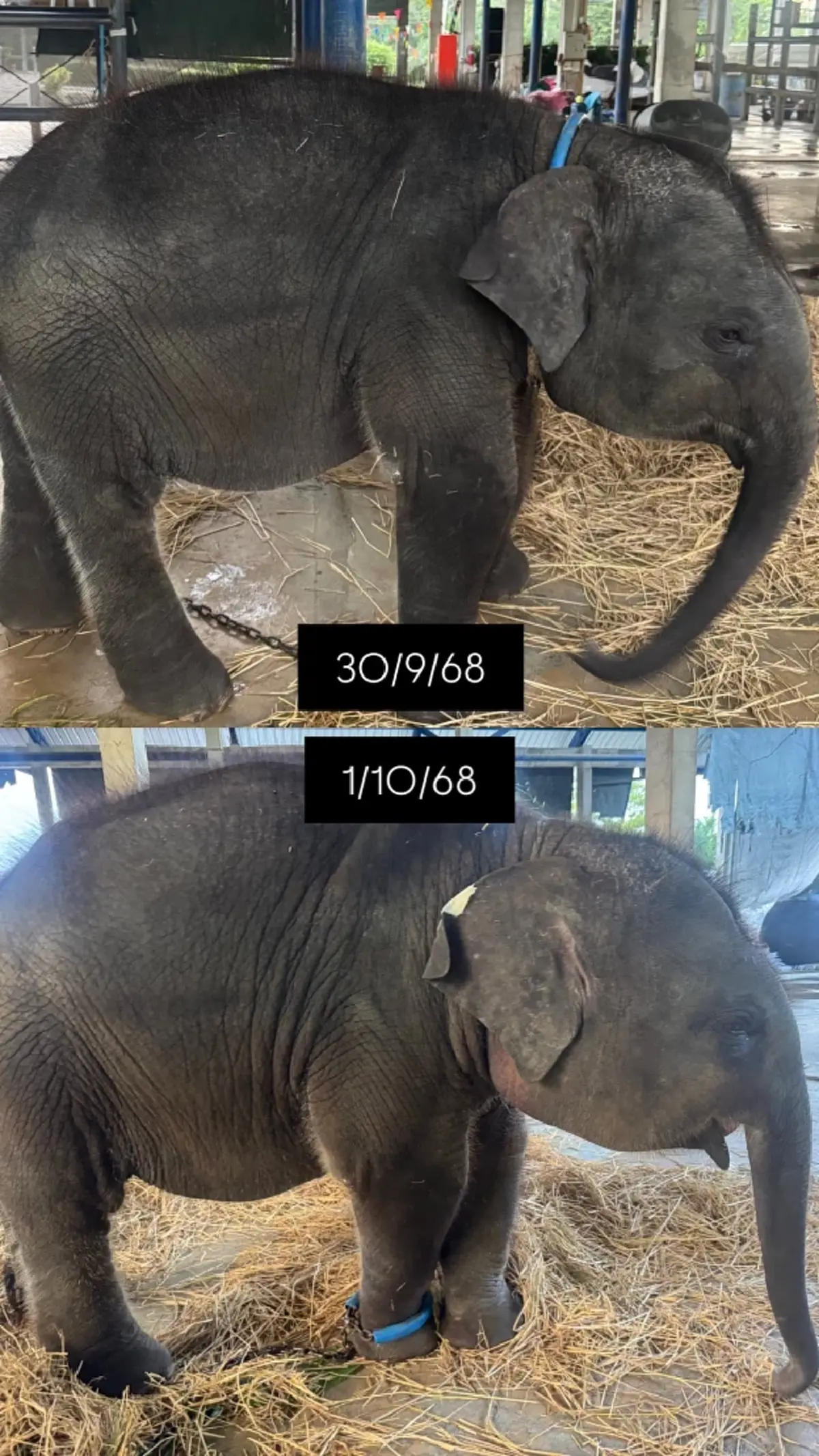 สงสารจับใจ น้องต้นหนาว อาการล่าสุด เห็นภาพยิ่งหดหู่