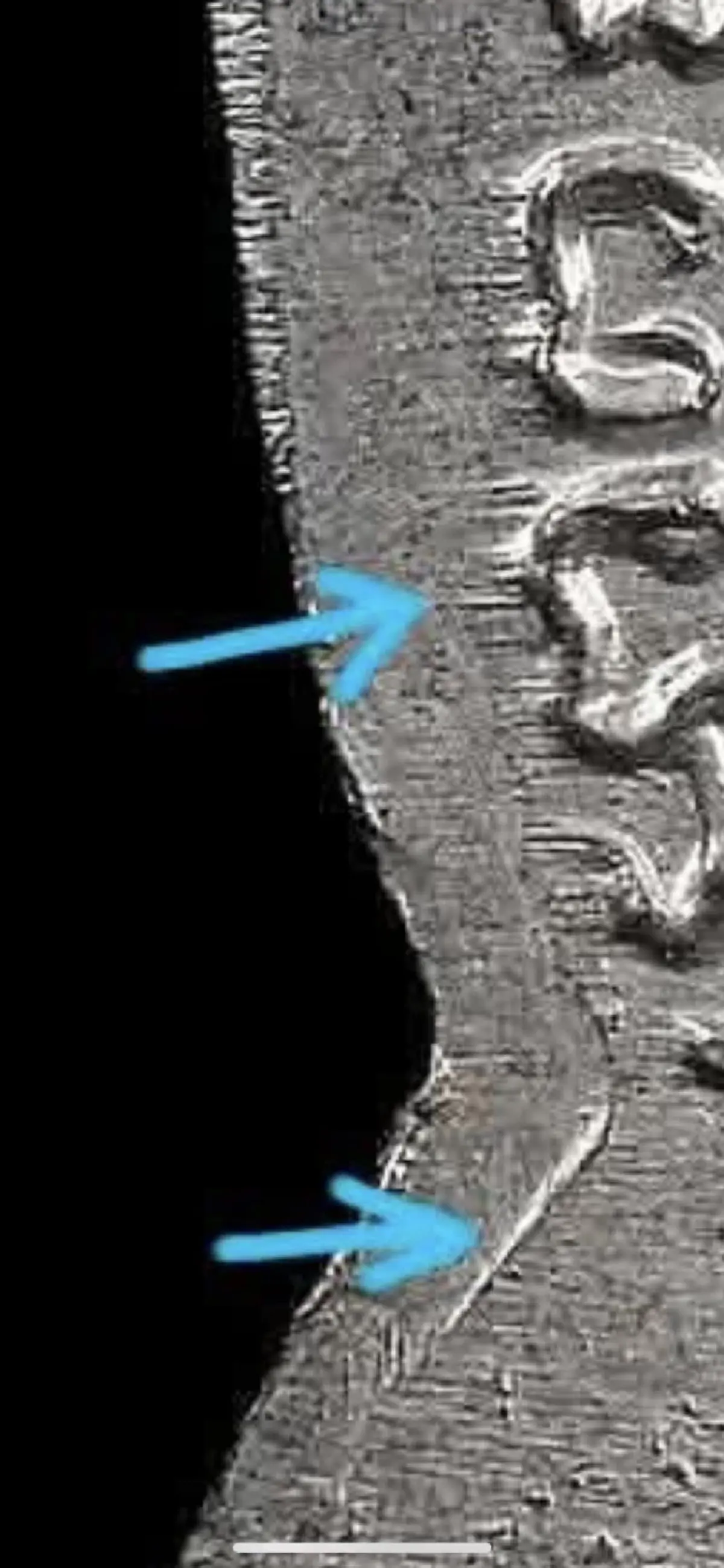 แพะ สงขลา เซียนสายใต้ ขยับล่าสุด อ่านจบบอกเลย นี่แหละคนจริง 