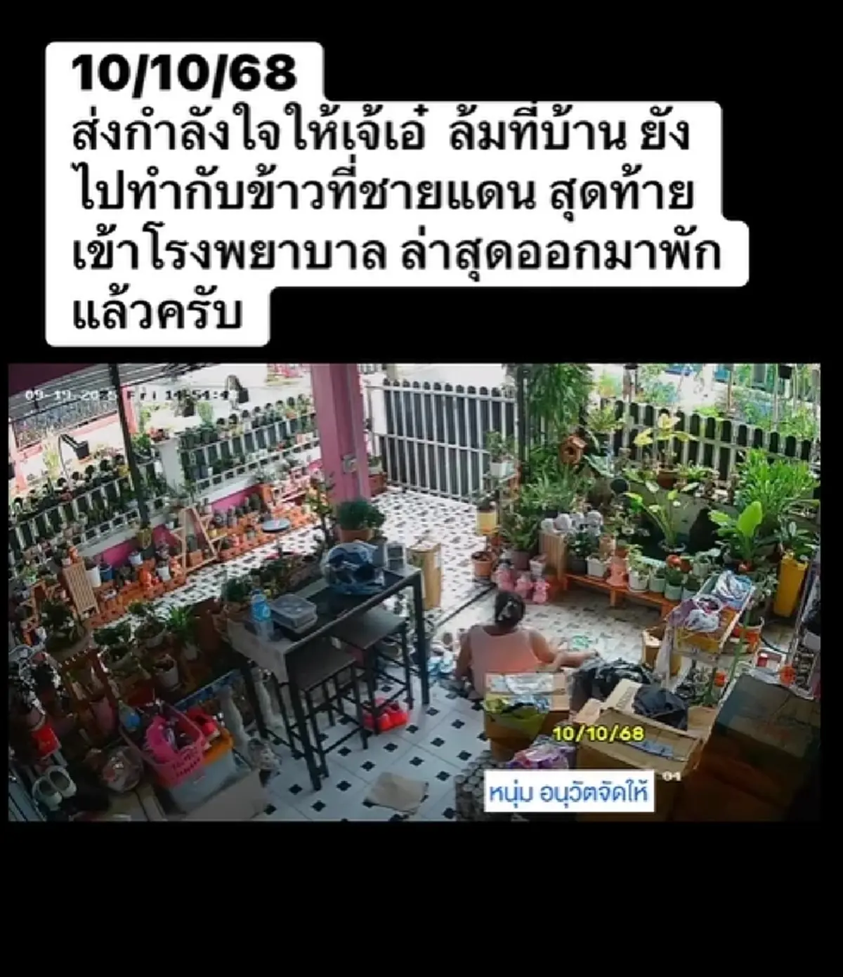 ส่งกำลังใจ \"เจ๊เอ๋\" ล้มกลางบ้าน ยังฝืนทำกับข้าวให้ทหาร