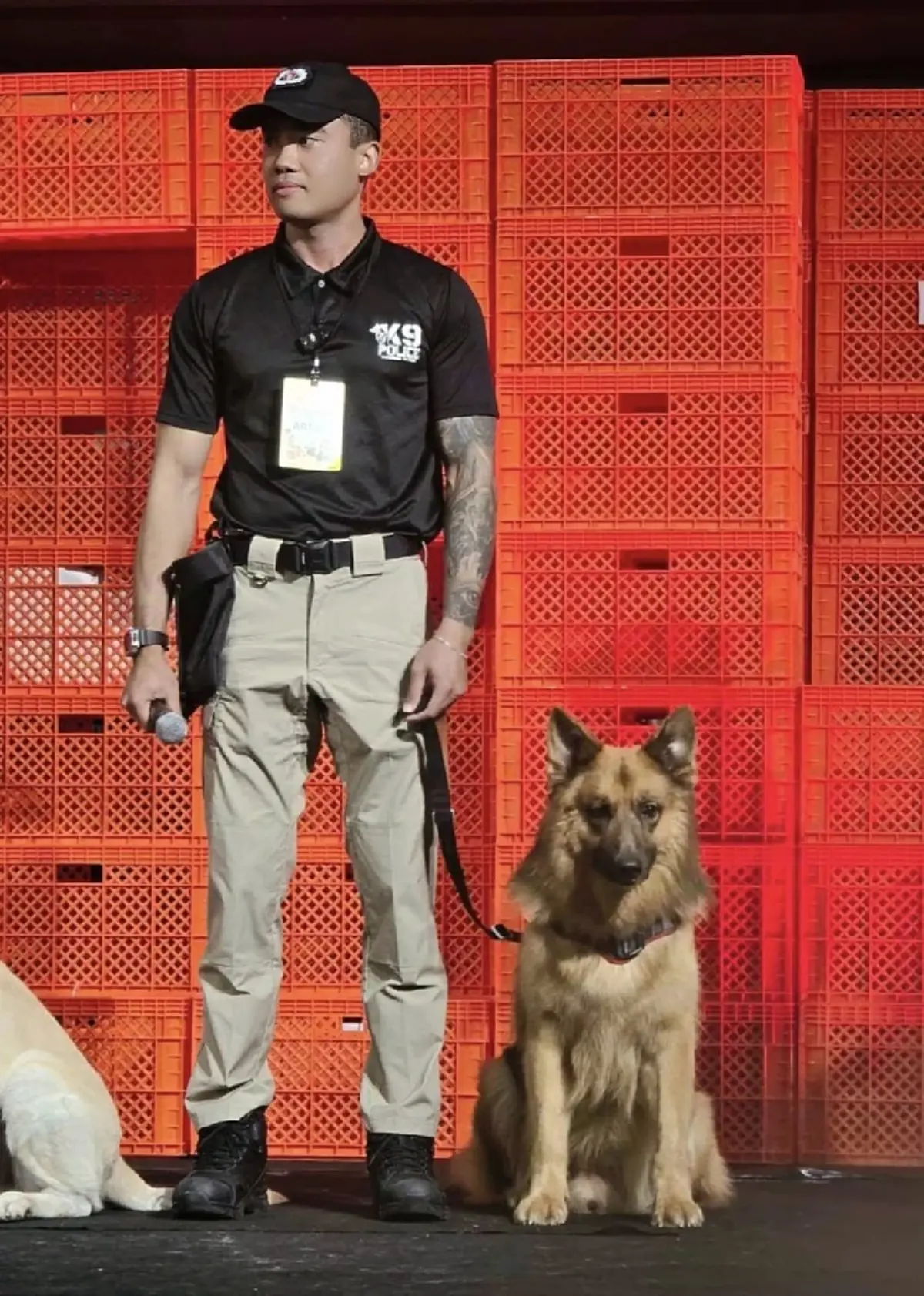 เศร้าหนัก สุนัขตำรวจตรีซาโบ้ K9 ชื่อดัง จากไปอย่างสงบ