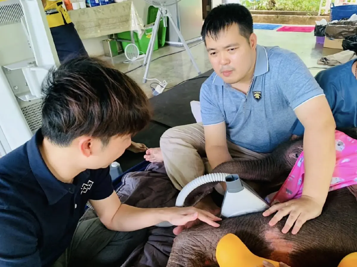 น้องข้าวต้ม ดีขึ้น ล่าสุดทีม มช. ร่วมฟื้นกล้ามเนื้อเต็มกำลัง