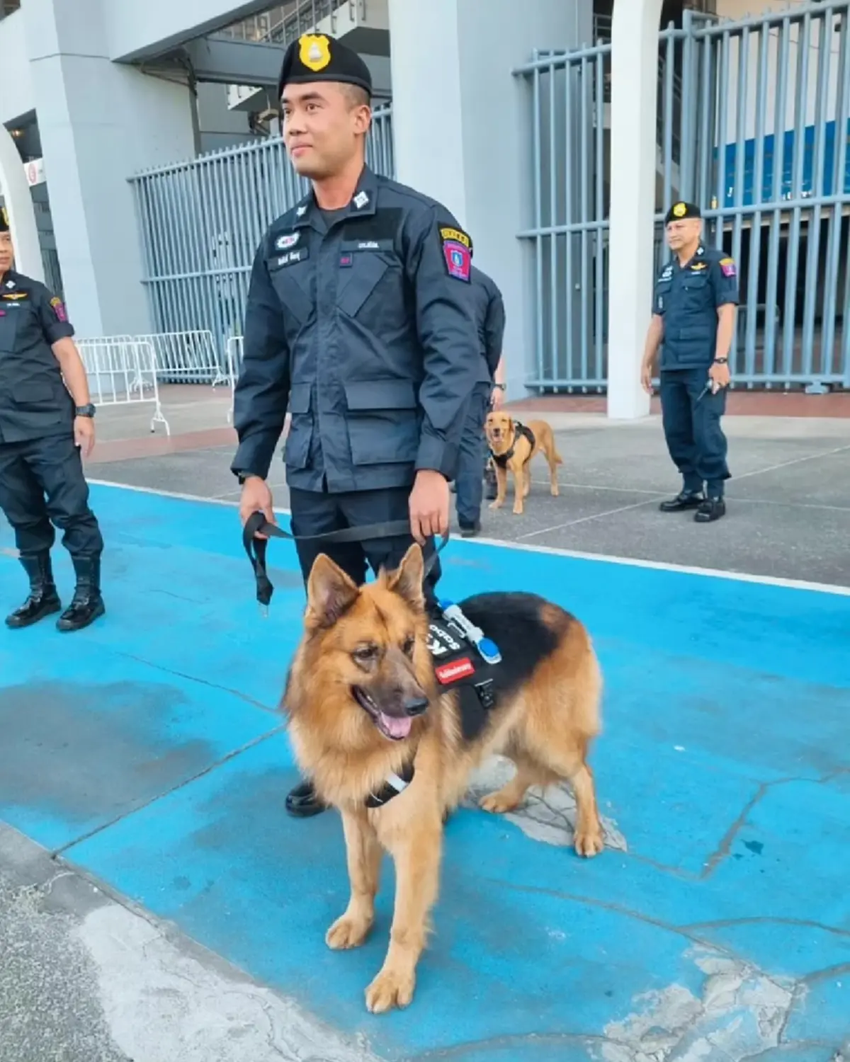 สุดห่วง โพสต์ล่าสุด คุณโบ หลังสูญเสีย ซาโบ้ K9 คู่ใจ