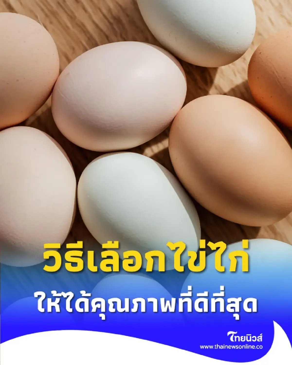 วิธีเลือกไข่ไก่ ต้องเลือกแบบไหนให้ได้คุณภาพที่ดีที่สุด 