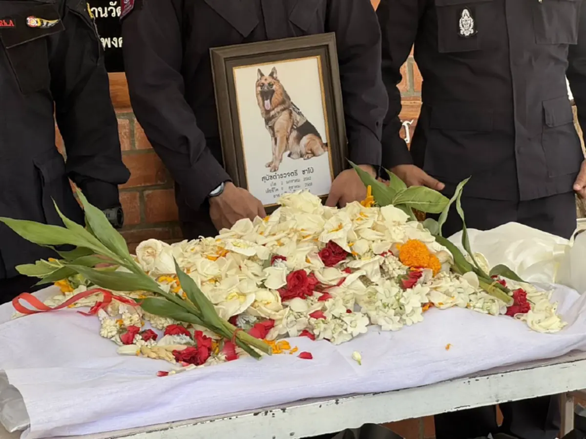 สุดเศร้าเจ้าหน้าที่และแฟนคลับร่วมไว้อาลัย “สุนัขตำรวจตรีซาโบ้”