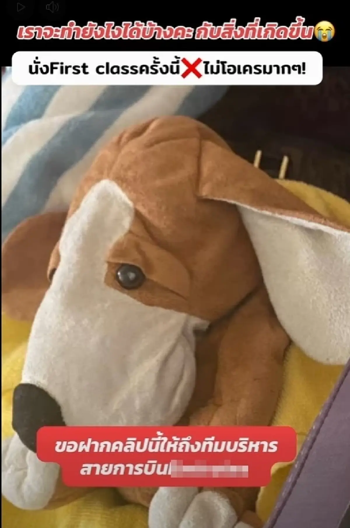 ไม่ทน "กระแต" ฟาดดราม่าตุ๊กตาหาย ชาวเน็ตด่า ซัดกลับทันที