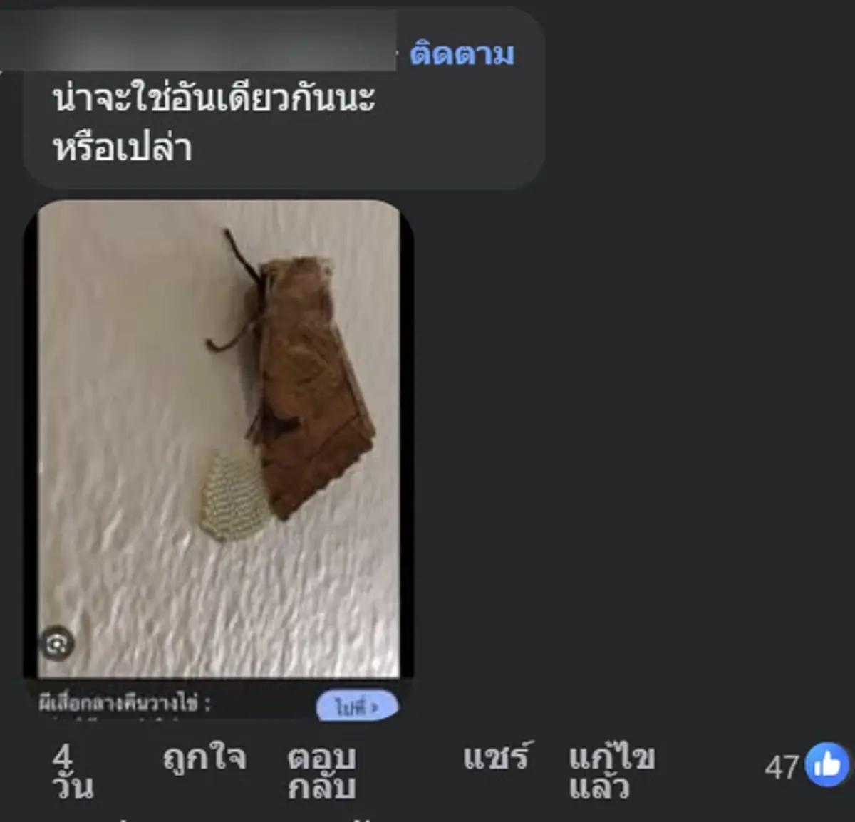 ไข่ปริศนาติดผนังบ้าน ซูมดูยิ่งขนลุก ก่อนผู้รู้เฉลย คนเดาไม่ถูก