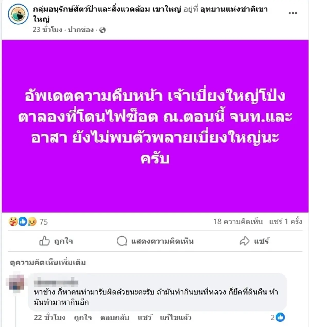 รู้แล้ว ช้างป่าตัวไหนโดนไฟช็อตเจ็บหนัก ที่แท้ตัวตึงเขาใหญ่