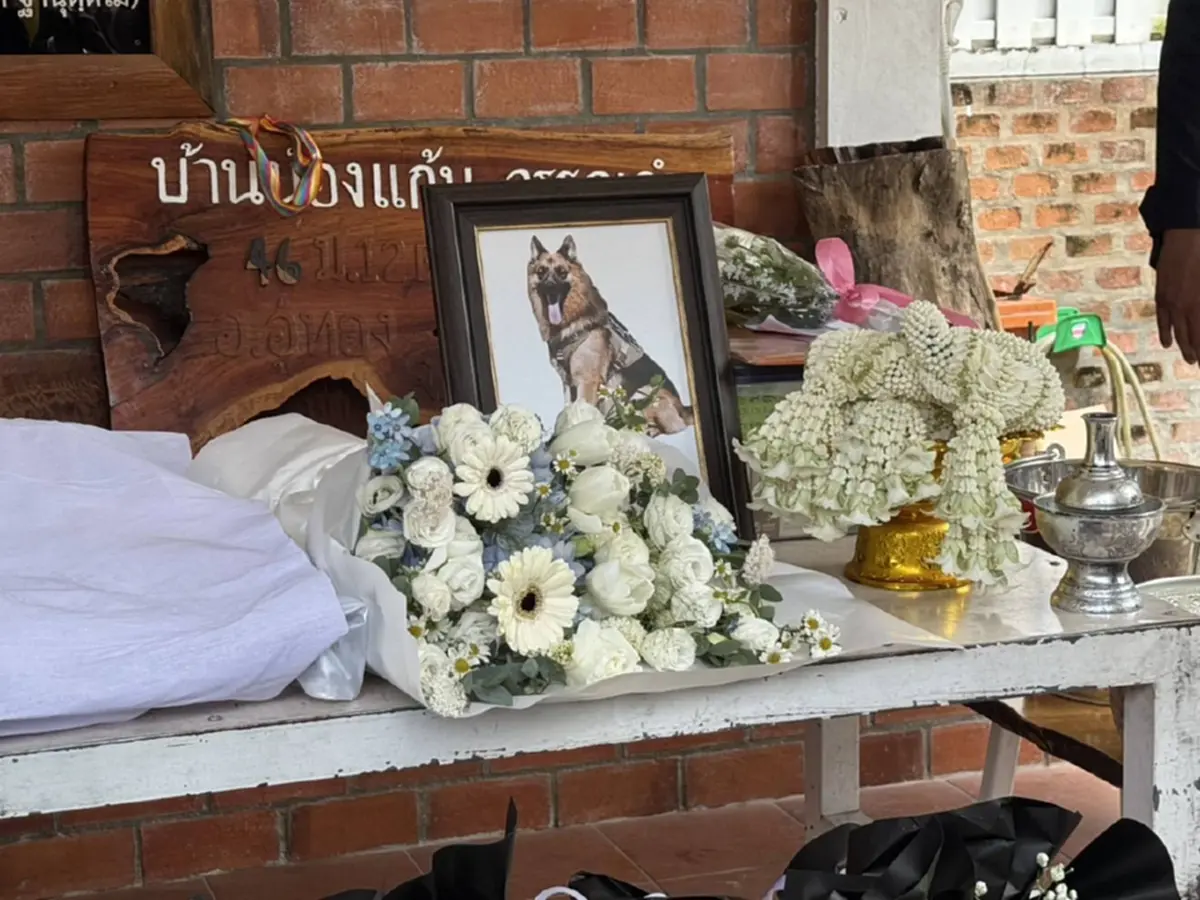 น้ำตาซึม คุณโบกล่าวลา ส่ง K9 ซาโบ้ สู่สุคติอย่างสมเกียรติ