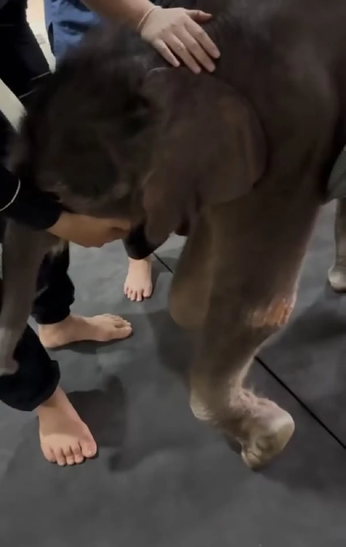 น้ำตาซึม เปิดคลิป น้องข้าวต้ม ฝึกเดิน หัวใจเกินร้อยจริงๆ