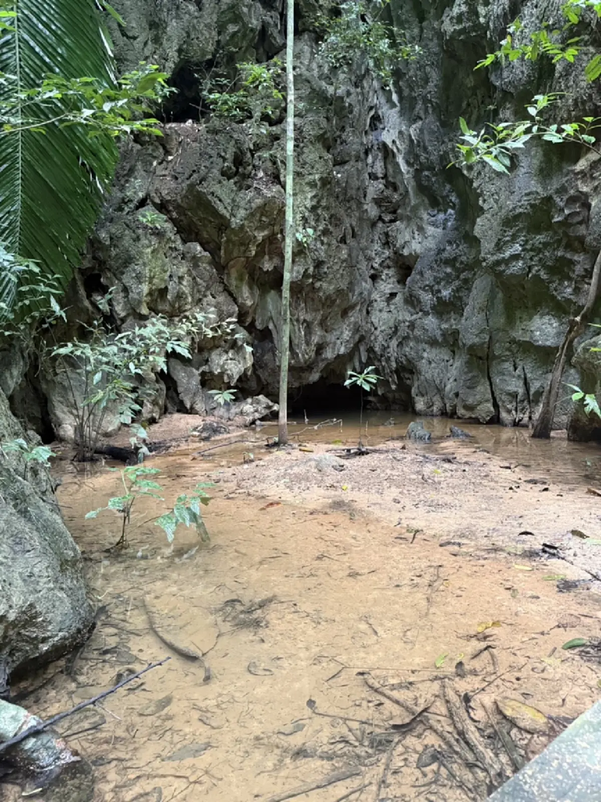 เผยภาพรอยสลักคู่ ลายฝีพระหัตถ์ ภปร.-สก. บนผาหินธารโบกขรณี