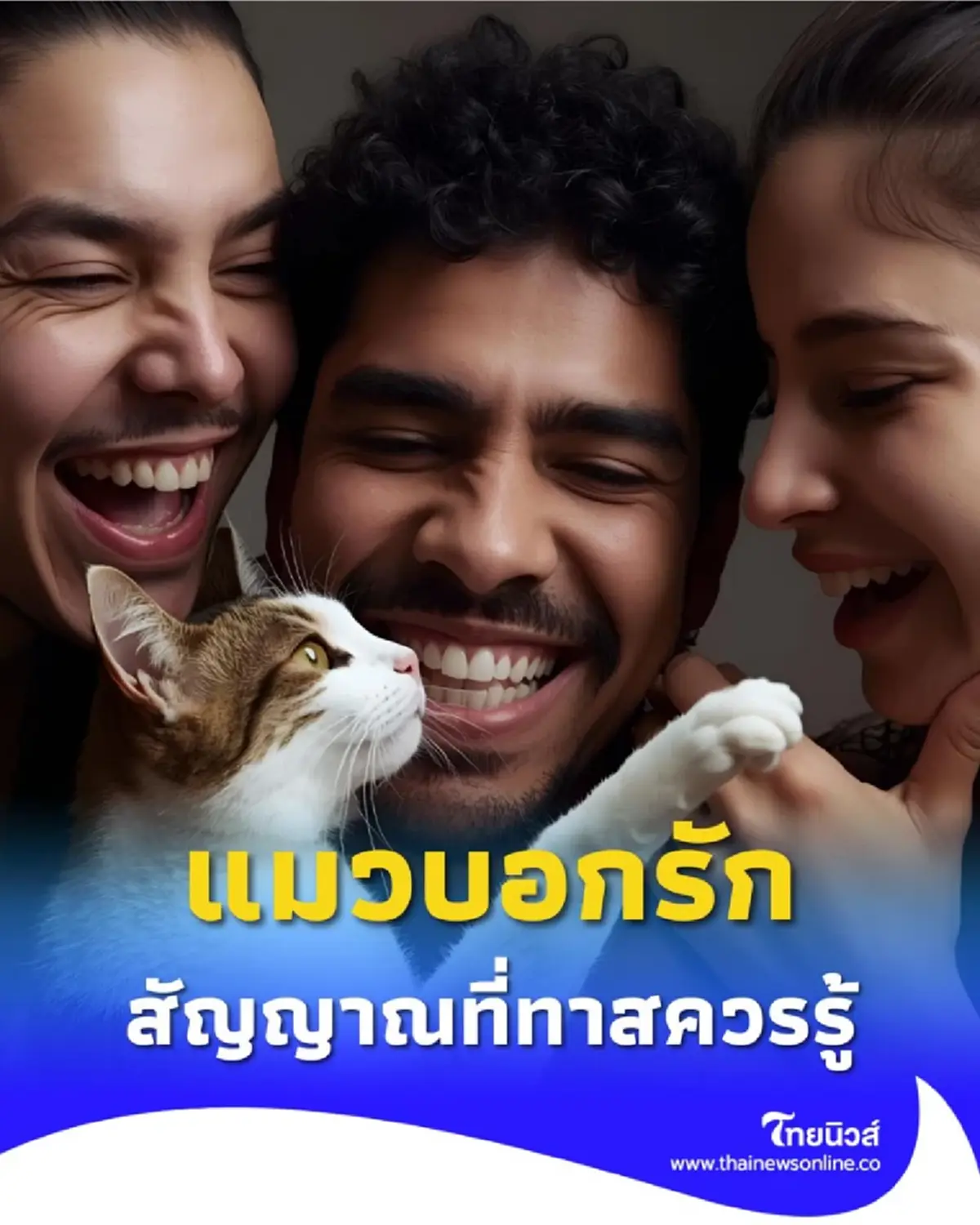 พาส่อง 7 ภาษากาย วิธีสังเกตแมวบอกรัก สัญญาณที่ทาสควรรู้