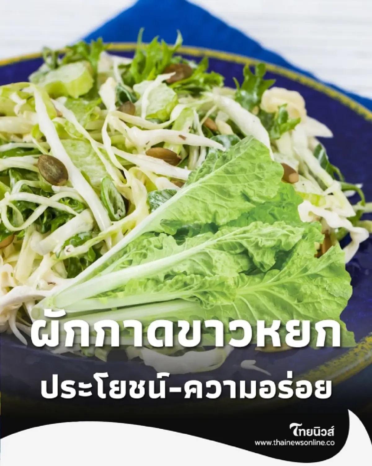 ผักกาดขาวหยก หวาน นุ่ม ละมุนลิ้น เปิดวาร์ปผักกาดขาวพันธุ์เบา