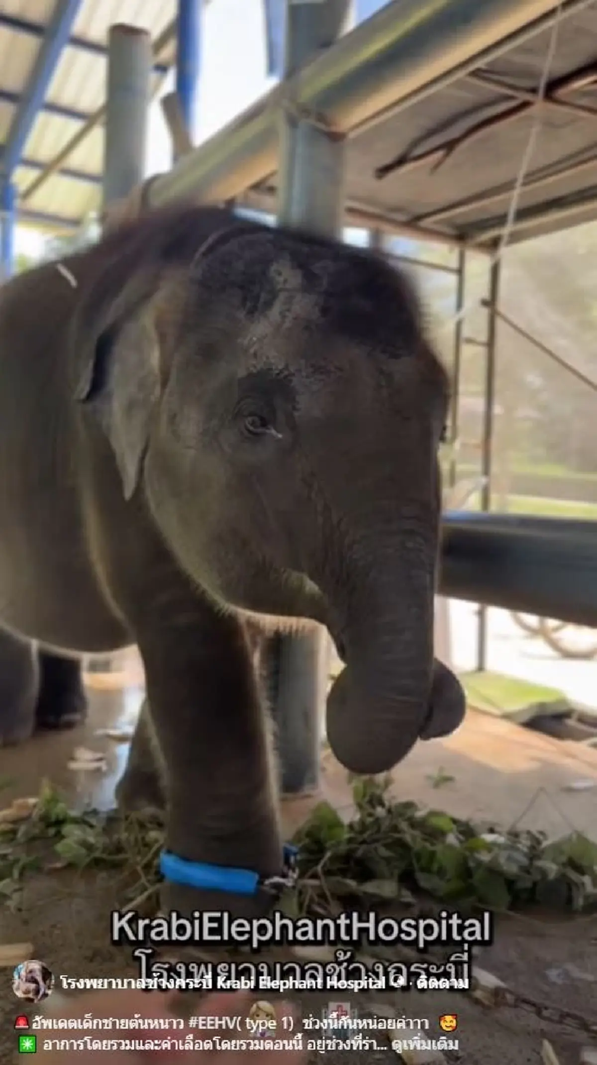 คุณหนูนา ตัดสินใจแล้ว อนาคต น้องต้นหนาว แห่ดีใจสนั่น