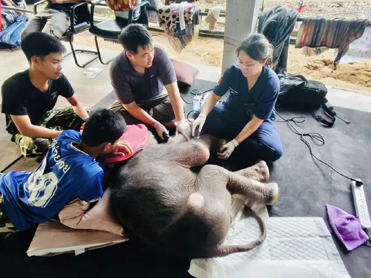 น้ำตาซึม เปิดคลิป น้องข้าวต้ม ฝึกเดิน หัวใจเกินร้อยจริงๆ