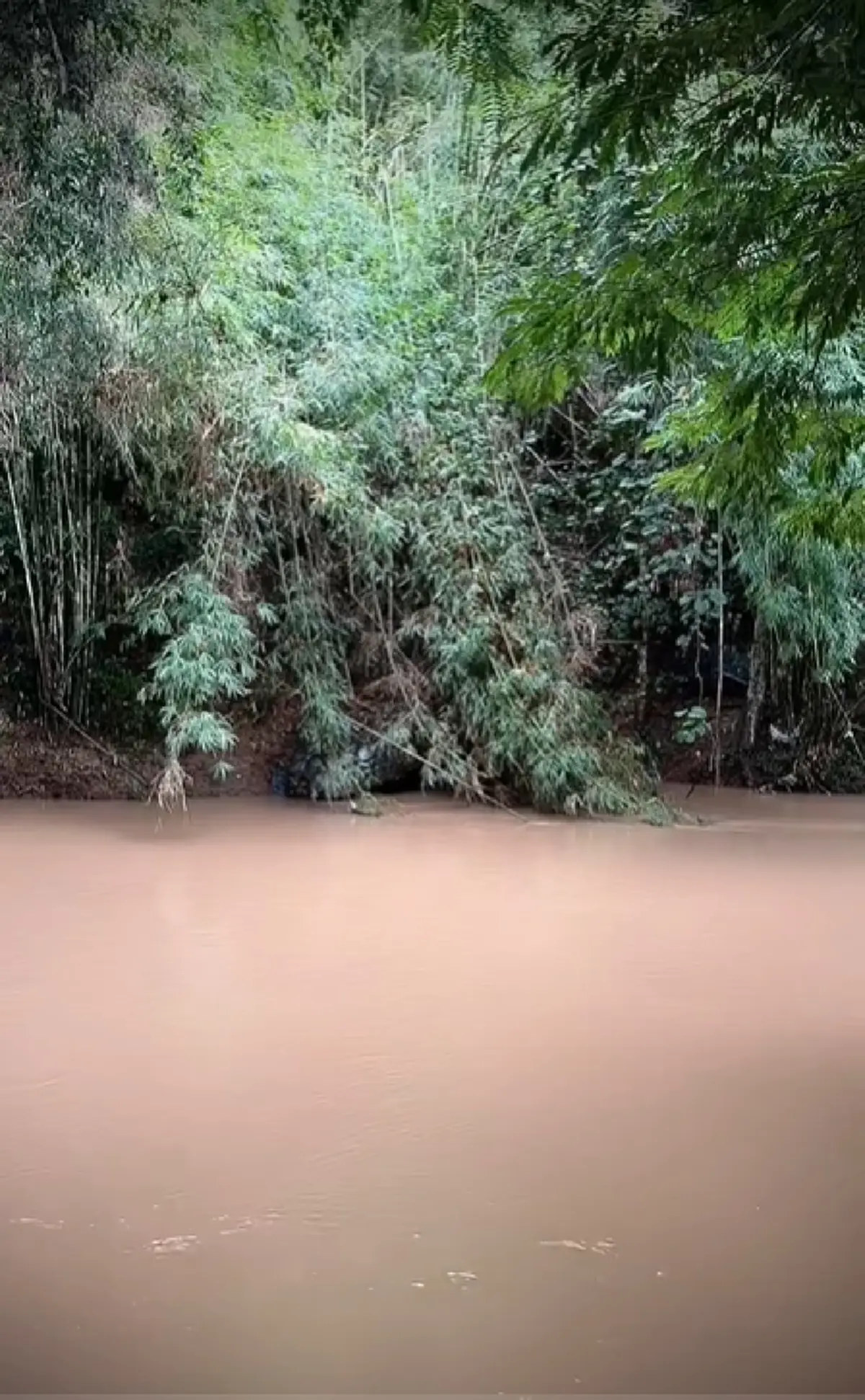 รู้แล้ว หินงูยักษ์ ลำน้ำเขาค้อ คนแห่สาธุ แท้จริงเกิดจากอะไร